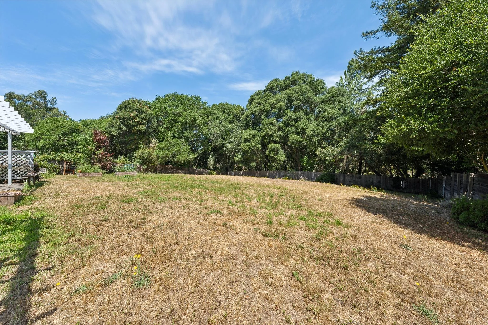 A backyard with a patchy brown grass lawn, enclosed by a wooden fence, surrounded by green trees and bushes, under a blue sky with some wispy clouds.
