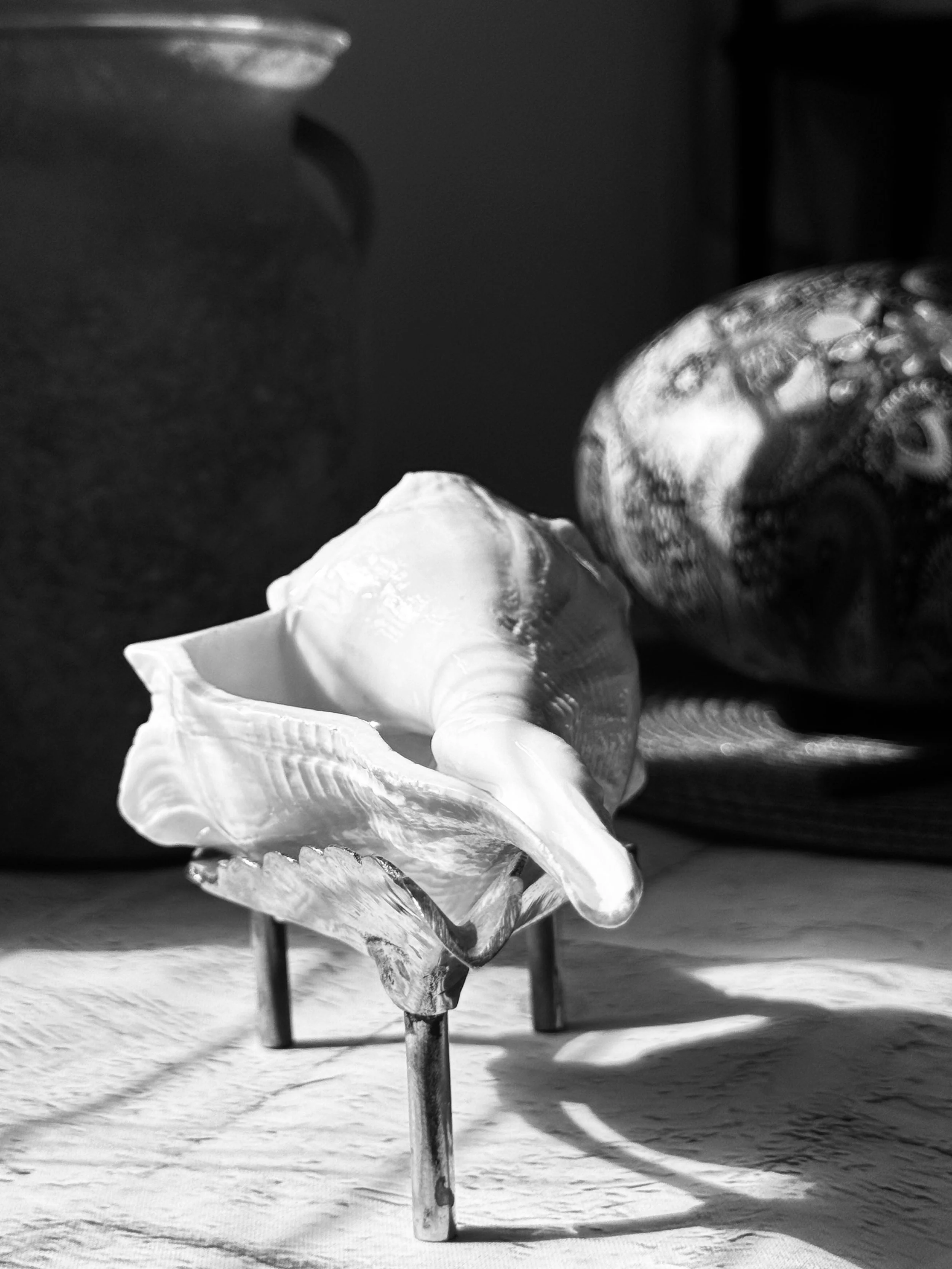 Close-up black and white photograph of a decorative shell filled with water, with a blurred background.
