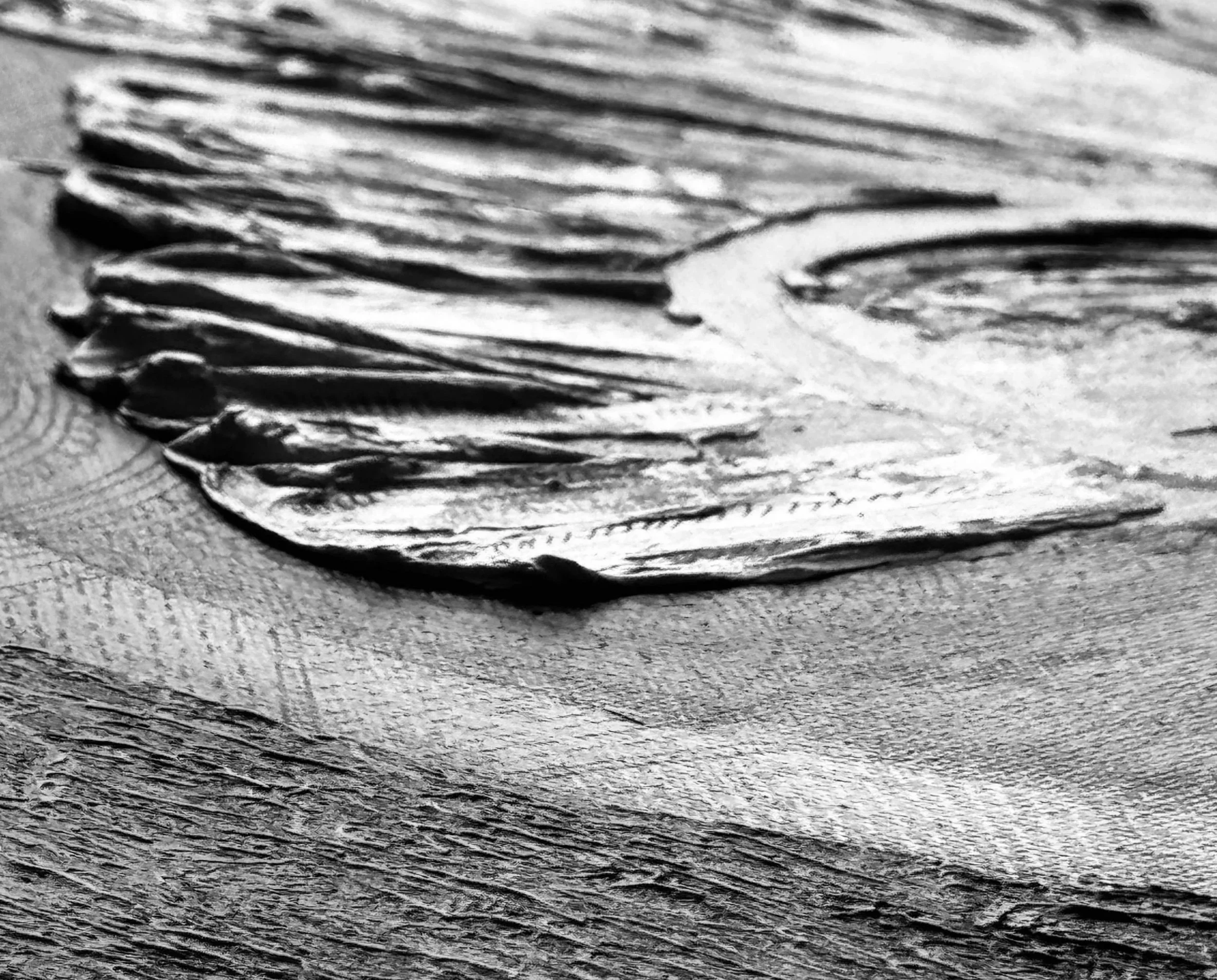 Close-up image in black and white showing weaved plant fibers, possibly straw or grass, arranged in a pattern with some overlapping.