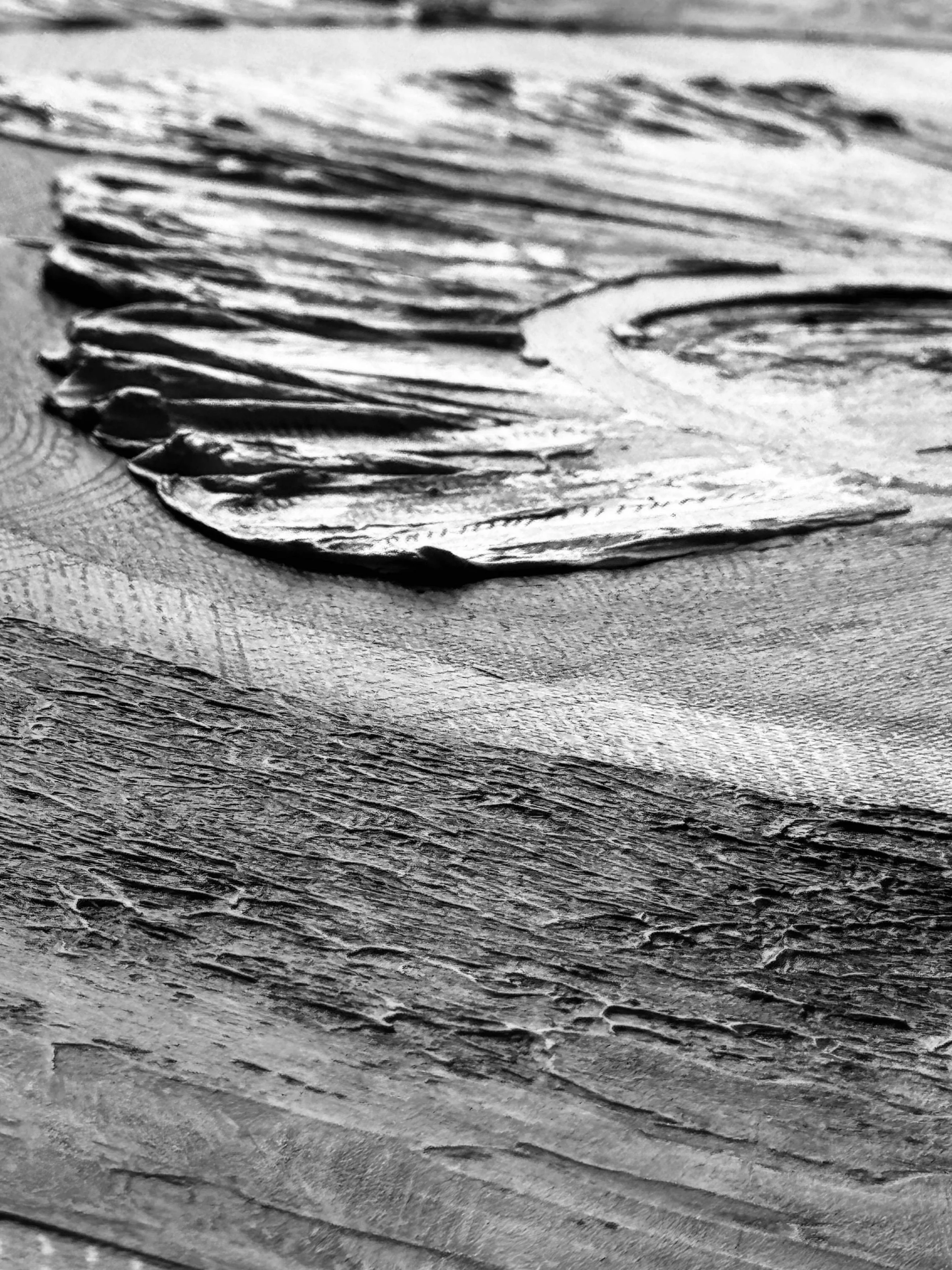 Close-up black and white photo of textured surface with a carved shape.