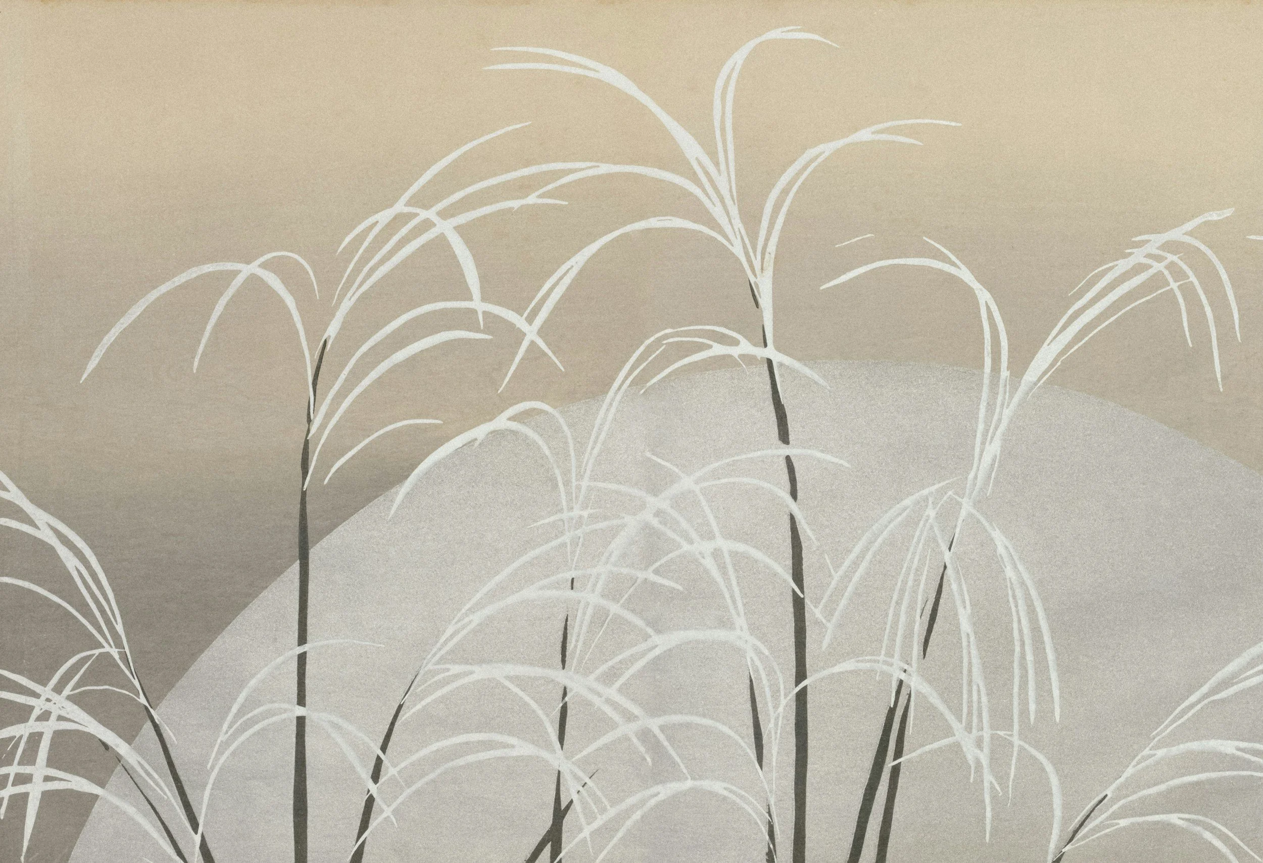 Illustration of tall grass or wheat plants with thin, curved stems and elongated leaves, set against a neutral beige background.