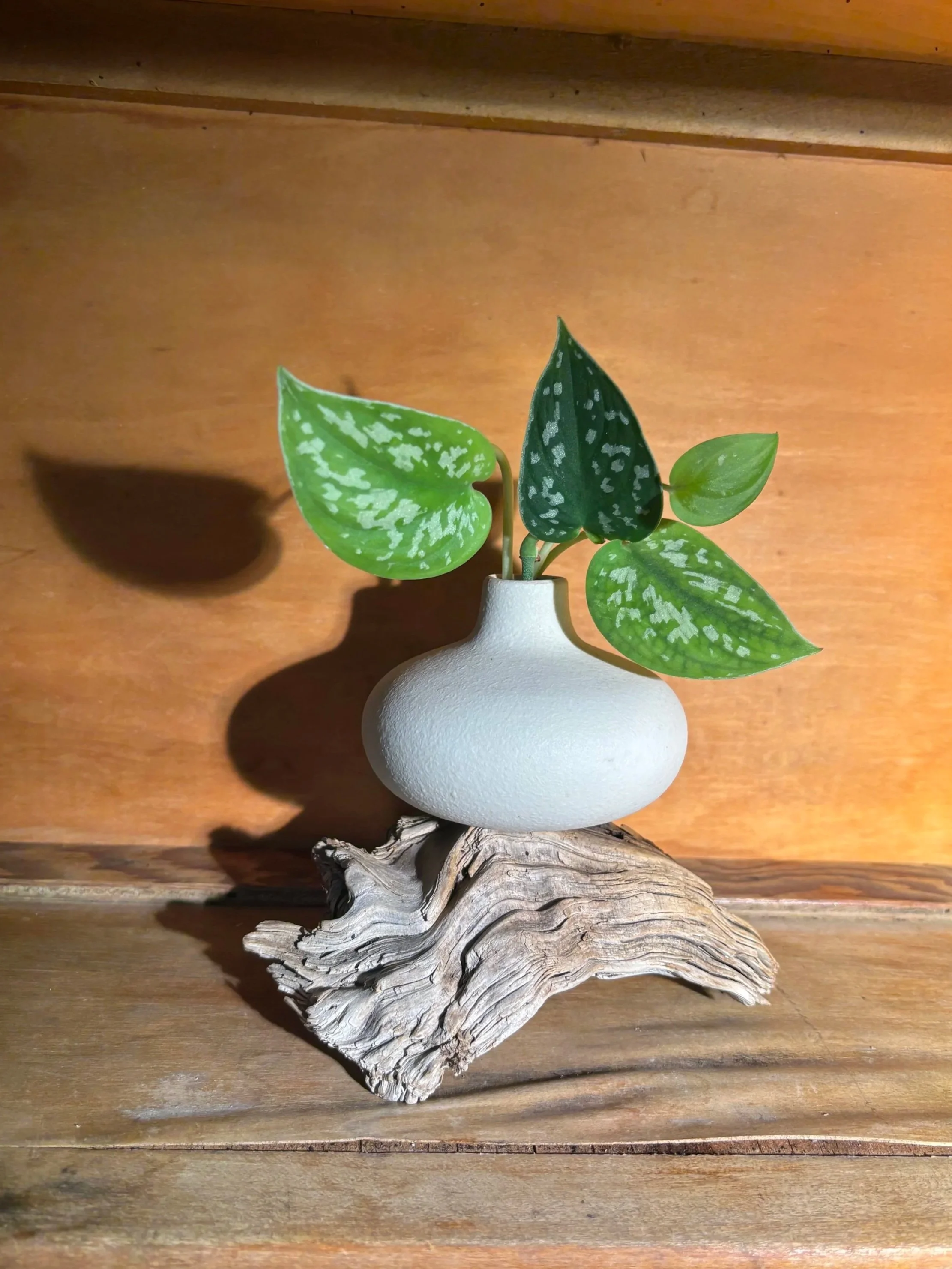 Distance Reiki Package (4 Sessions)