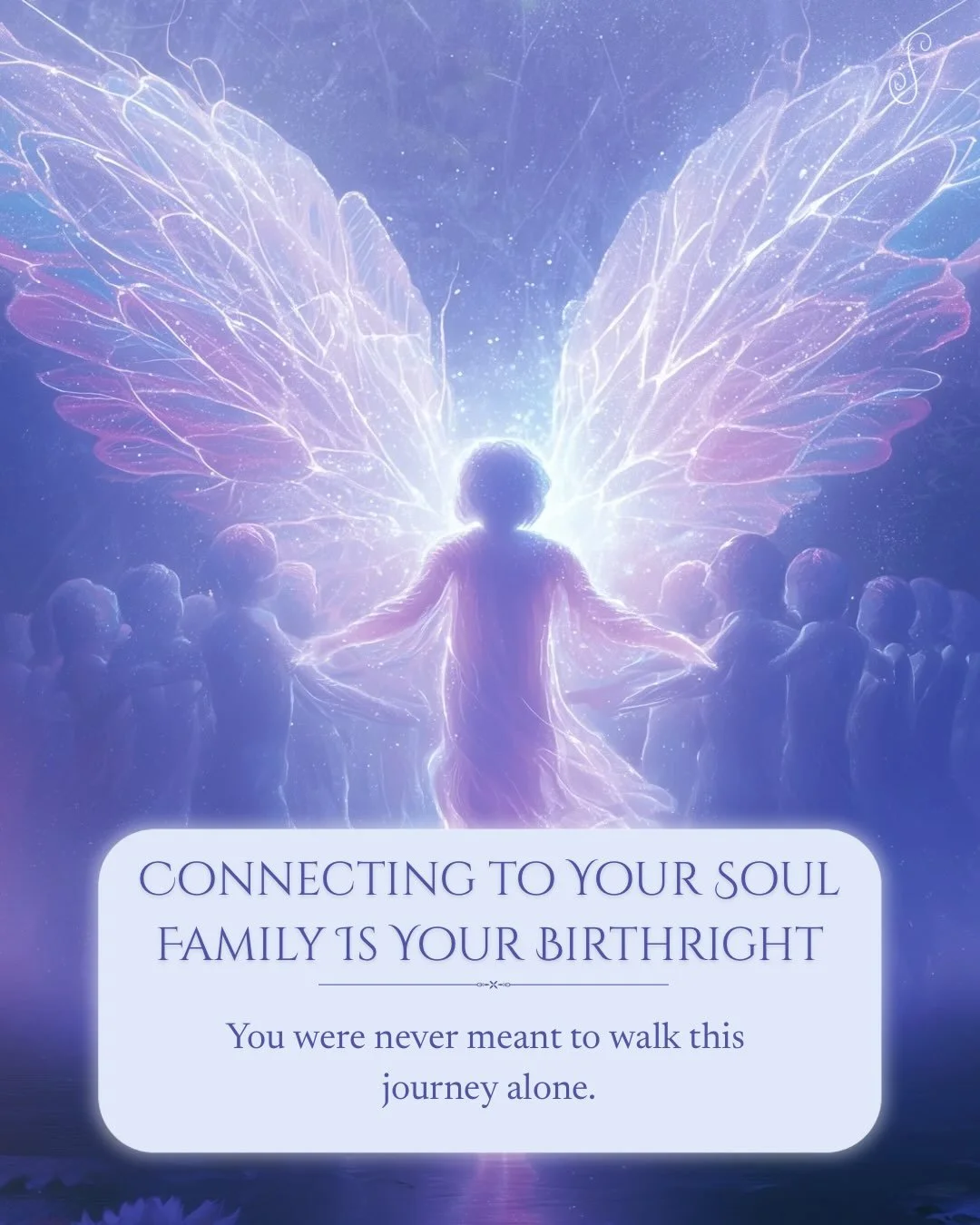 🤍 Sacred soul family connection, may we find each other and bring peace 🙏