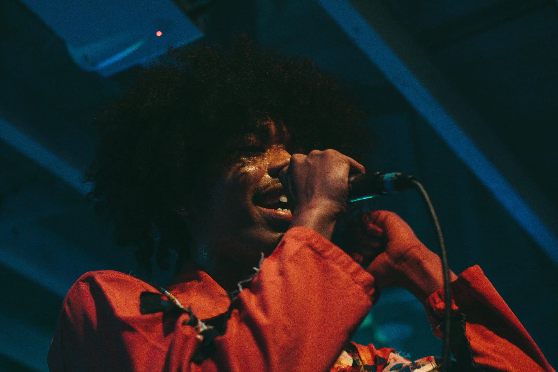 043.jpg