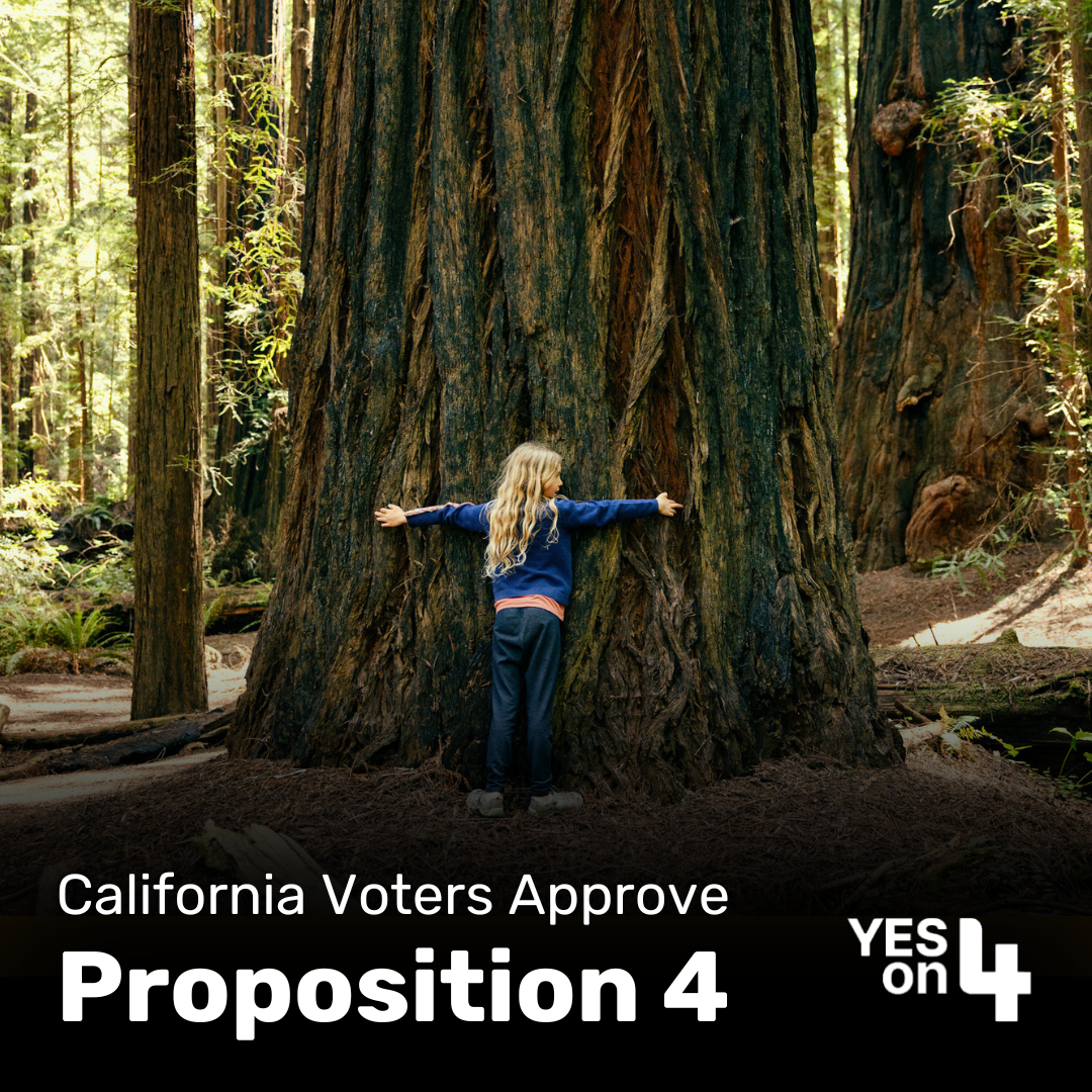 Proposition 4