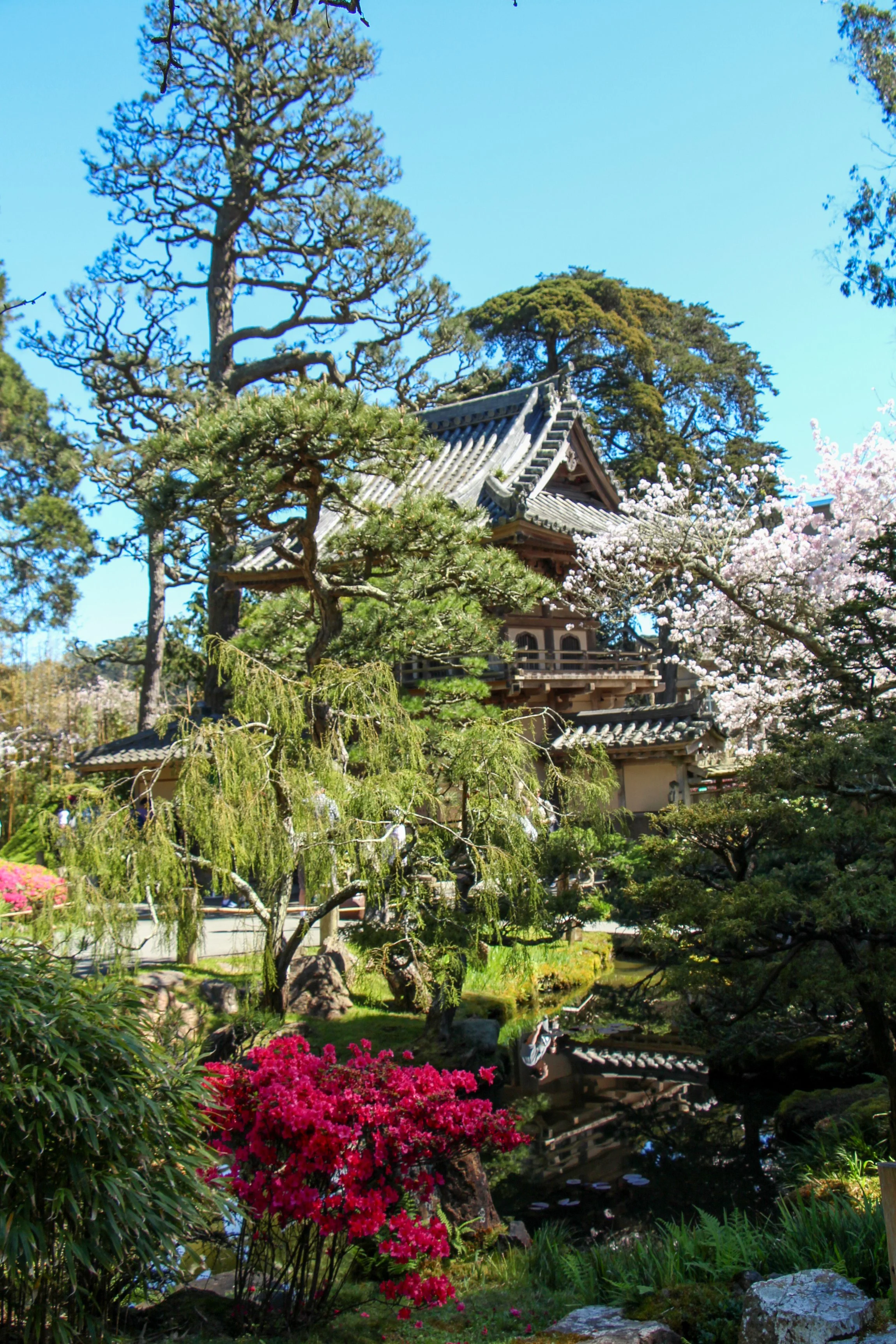  Spring blooms surrounding the temple gate. 