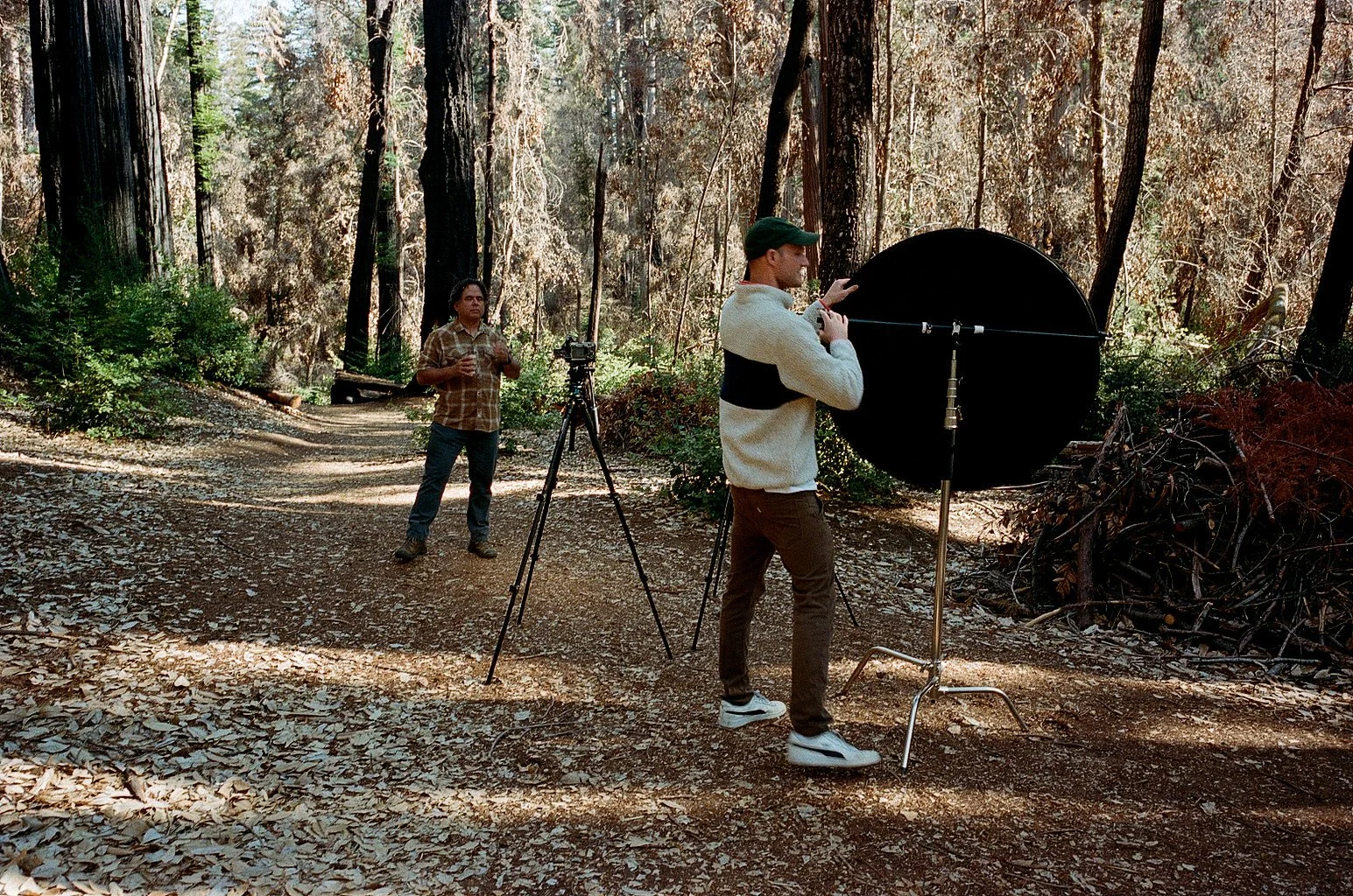Coworkers filming a story about wildfire recovery among fire-scarred redwoods at Big Basin Redwoods State Park.