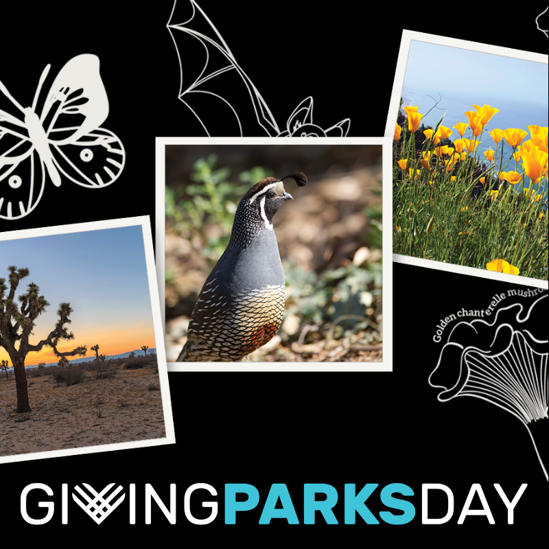 Giving Parksday campaign graphic featuring a California quail, Joshua trees, California poppies, and wildlife illustrations representing biodiversity in California’s state parks.