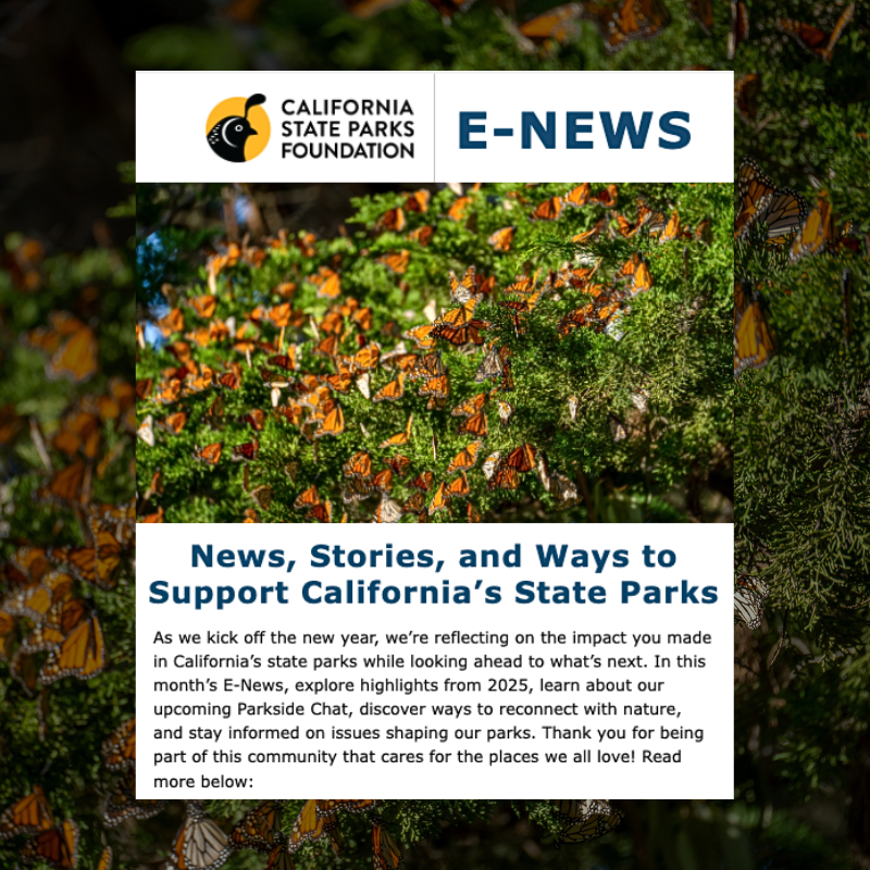 E-News