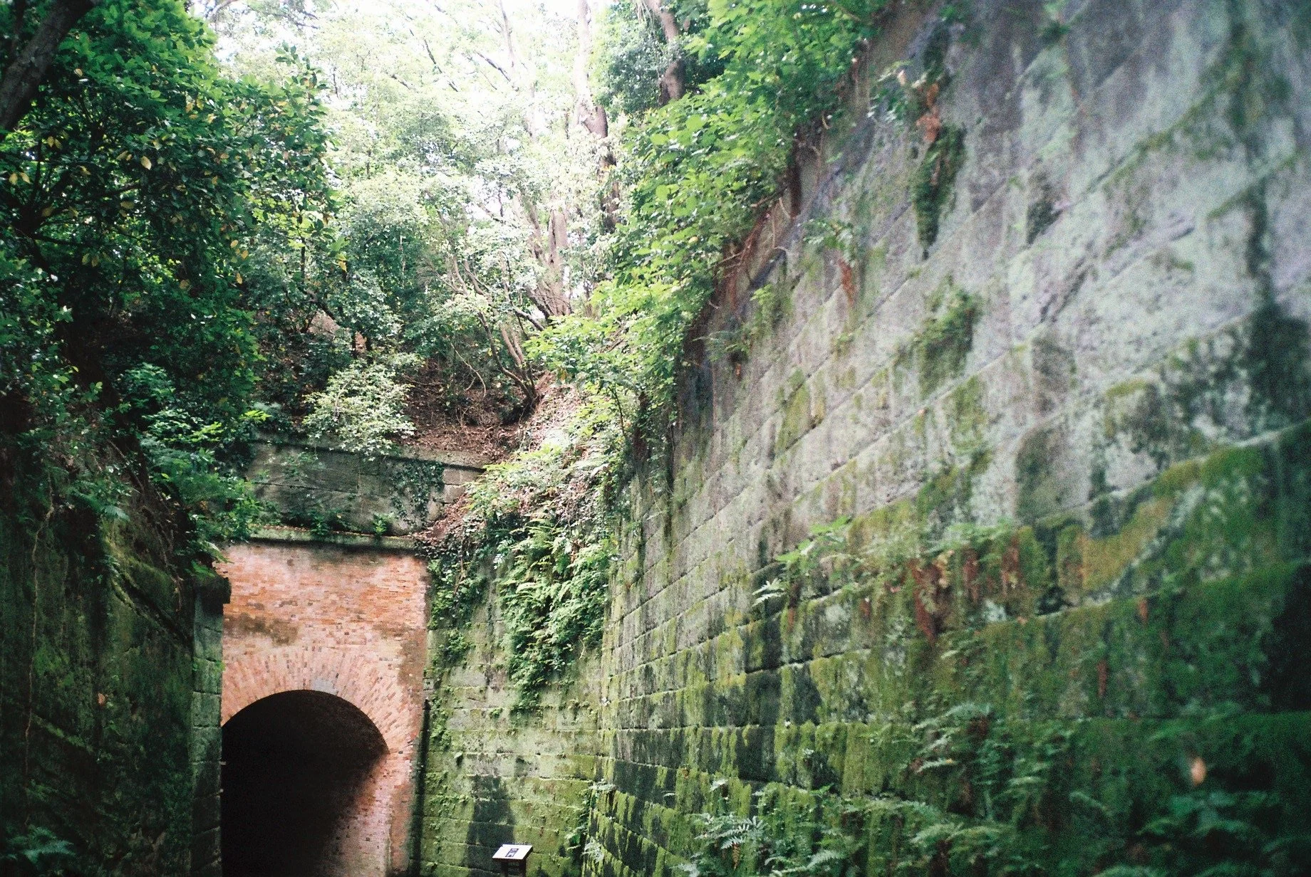 Moss-covered stone walls and a historic brick tunnel surrounded by dense forest on Sarushima in Yokosuka, Japan.