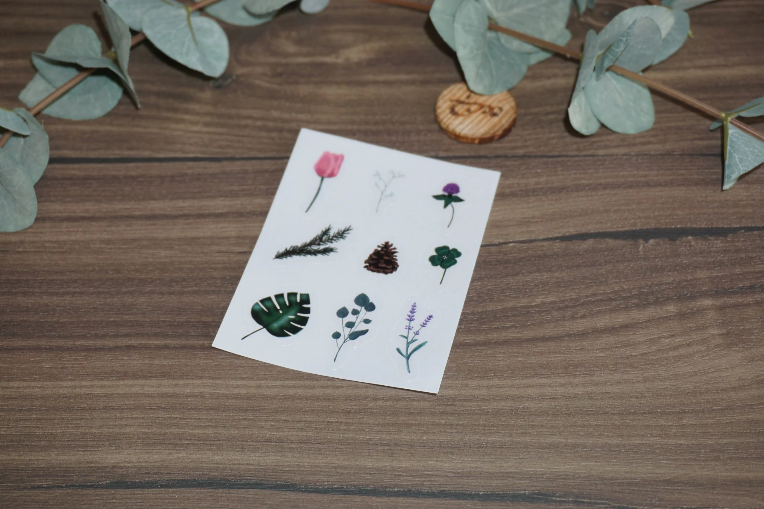 Pflanzen Sticker Sheet Transparent