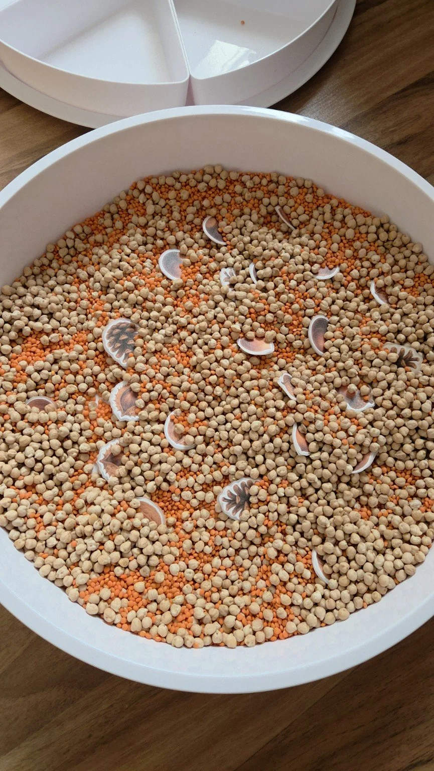 Große runde weiße Box mit kleinen farbigen Kugeln und einigen silbernen, halbmondförmigen Werkzeugen darin, auf einem Holztisch, mit einer zweiten weißen Box im Hintergrund.
