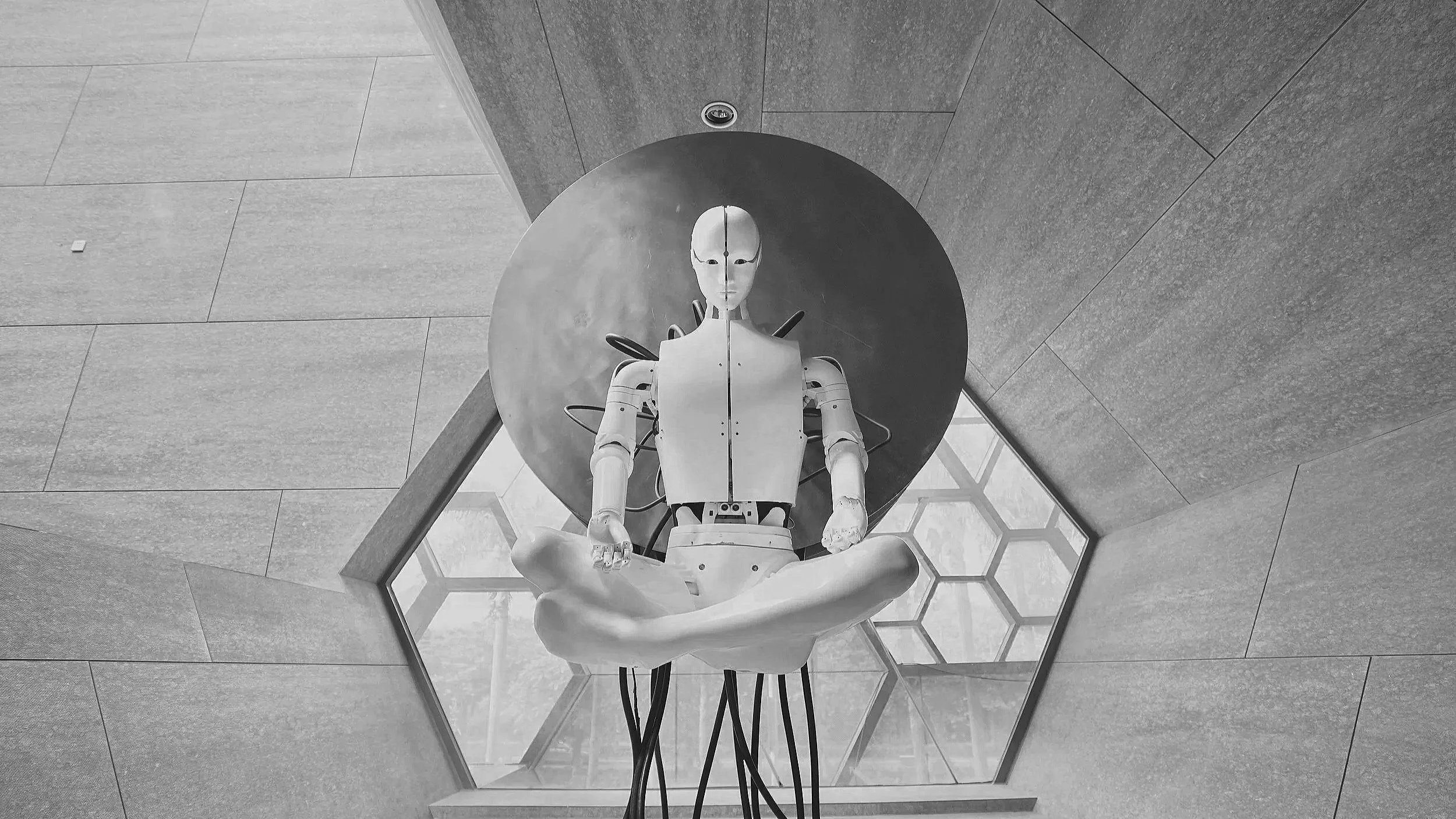 The Humanoid Robot Story Was Never About the Robot