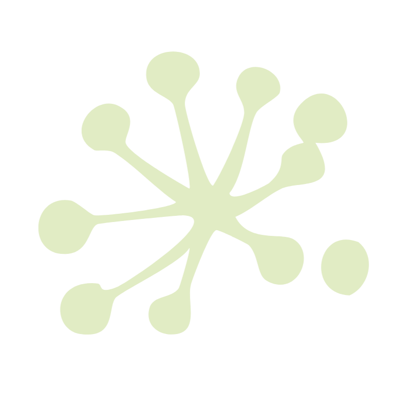 A light green, abstract, starburst-like shape with rounded ends on transparent background.