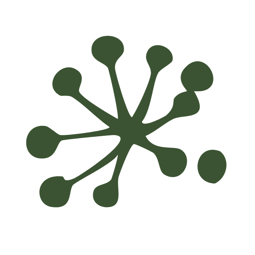 A dark green, abstract, starburst-like shape with rounded ends on transparent background.