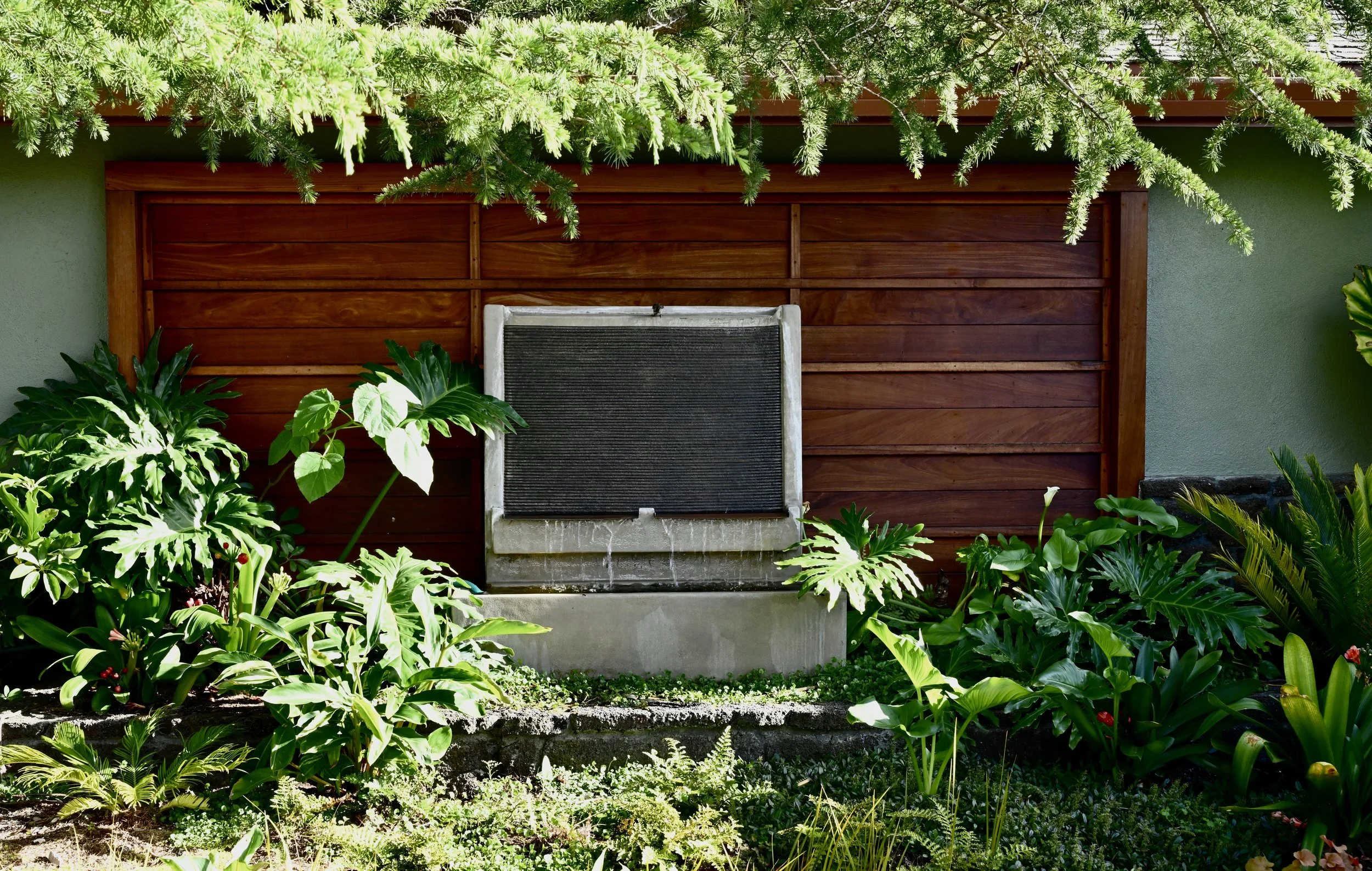 A lush garden with various green plants and leaves in front of a wooden wall. A concrete water feature with water flowing over its edges is situated among the plants. Green pine branches hang overhead.