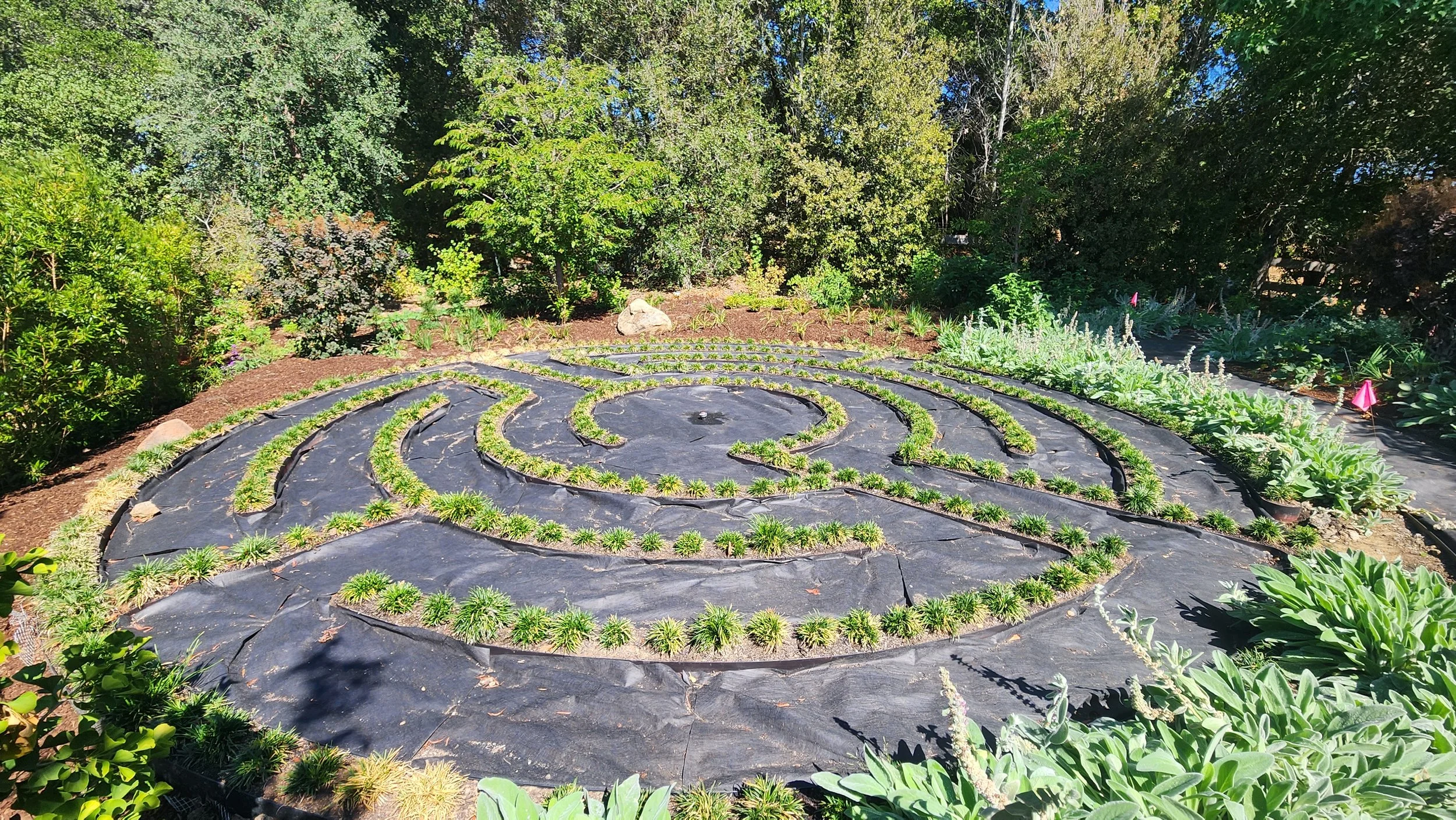 20250911_143647.jpg
