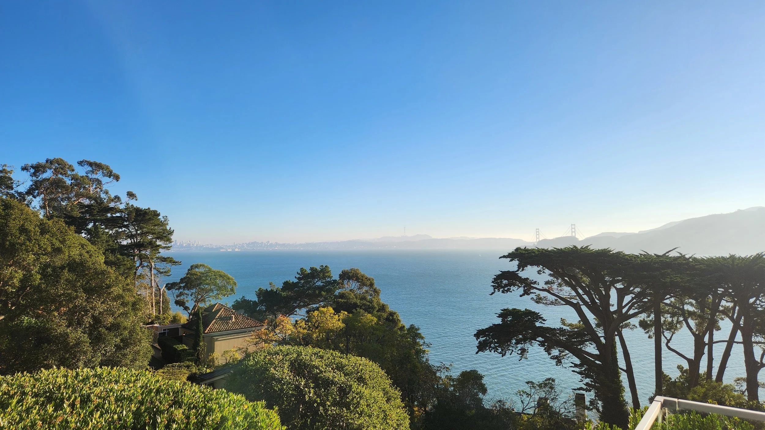 A scenic view of a bay with the San Francisco skyline and Golden Gate Bridge in the distance, framed by lush green trees and houses.