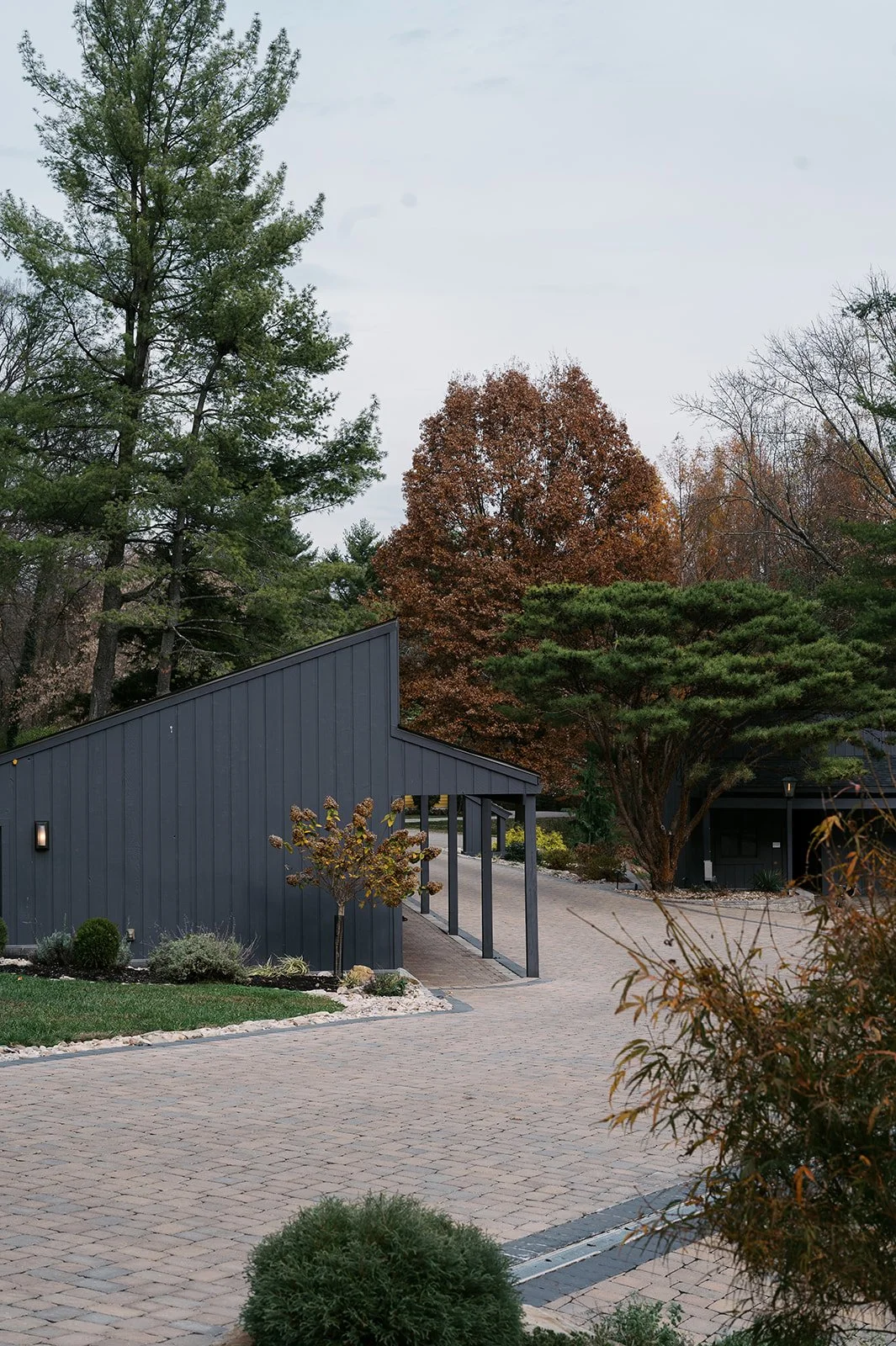 Placed_ Peter's House (2).jpg