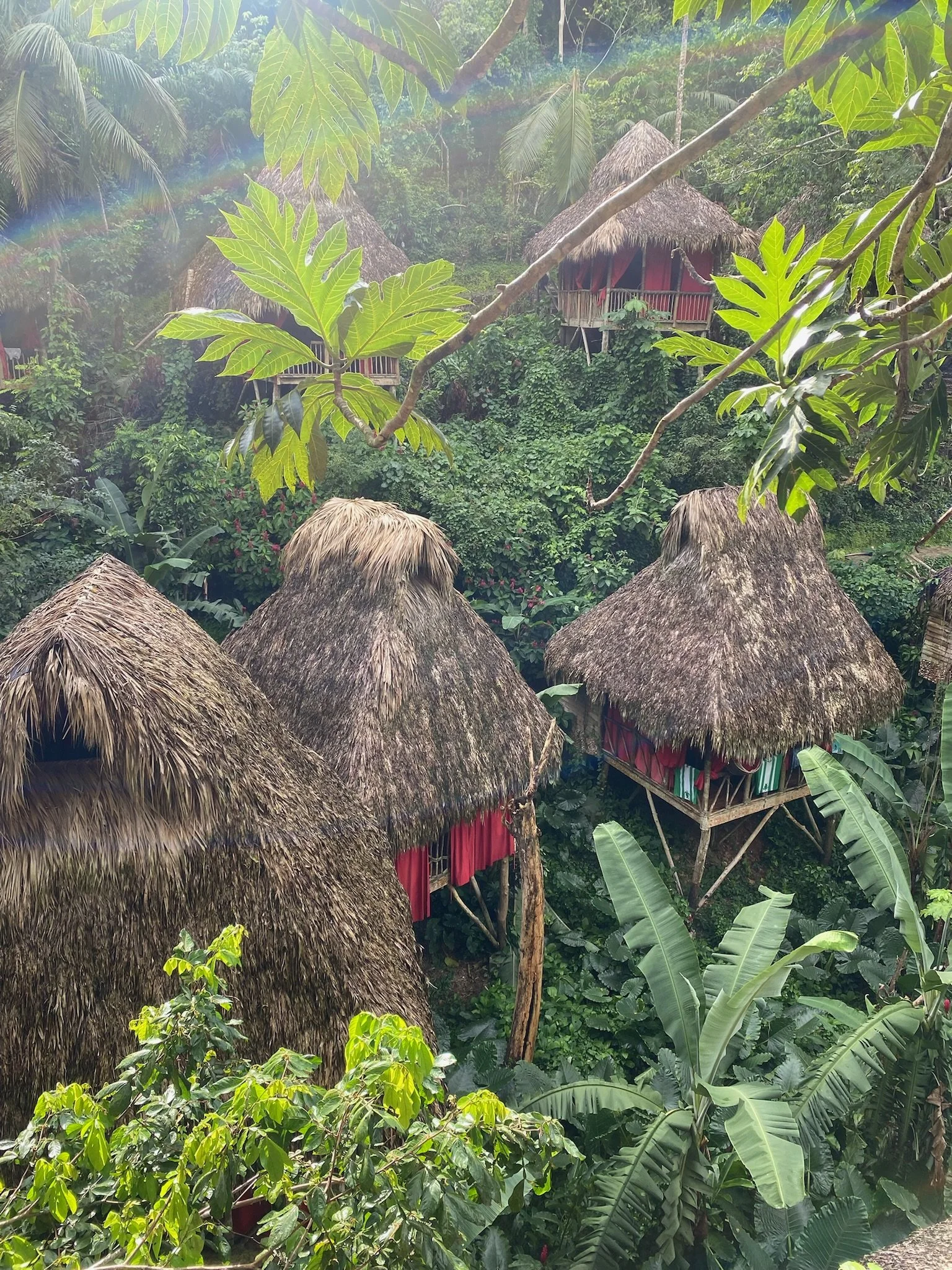 Several thatched-roof huts elevated on stilts surrounded by dense green tropical jungle and large leafy trees.