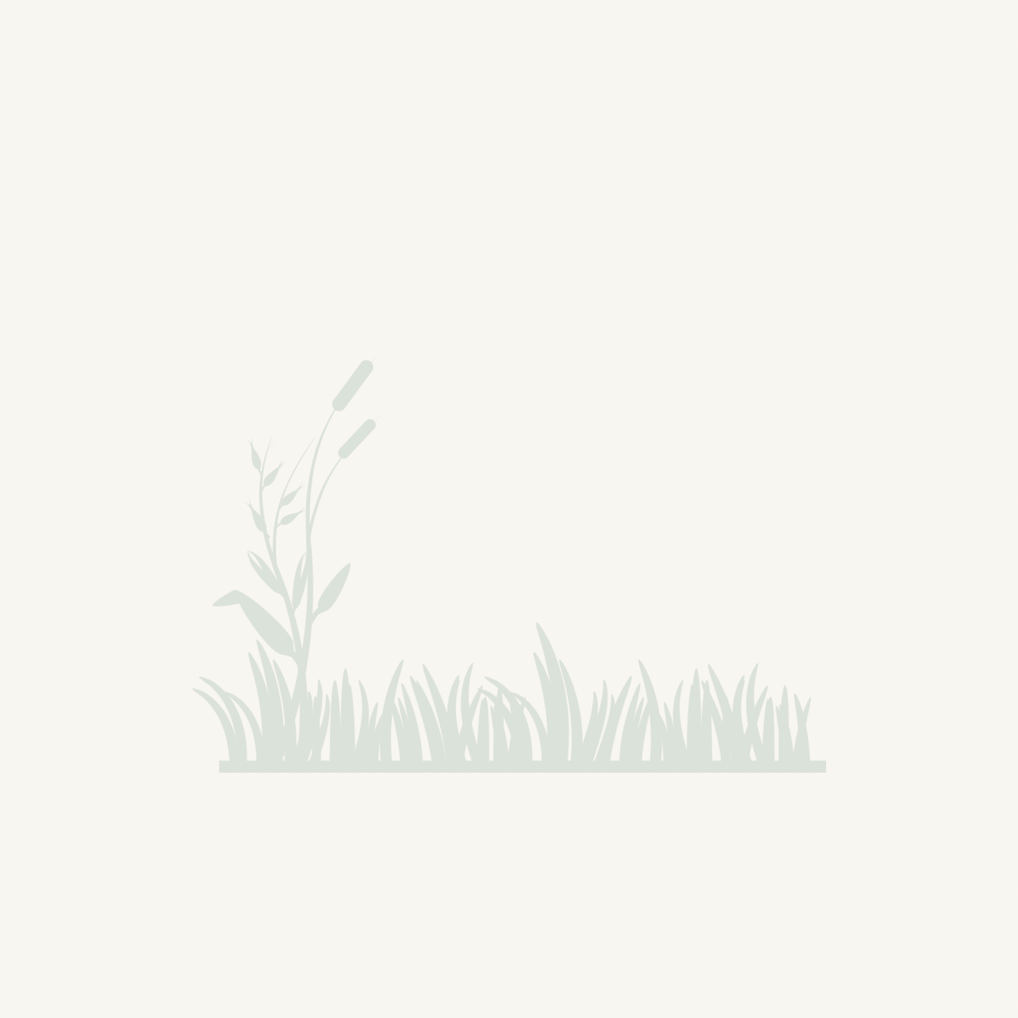 A minimalist illustration of grass and wildflowers in light, muted colors with a white background.