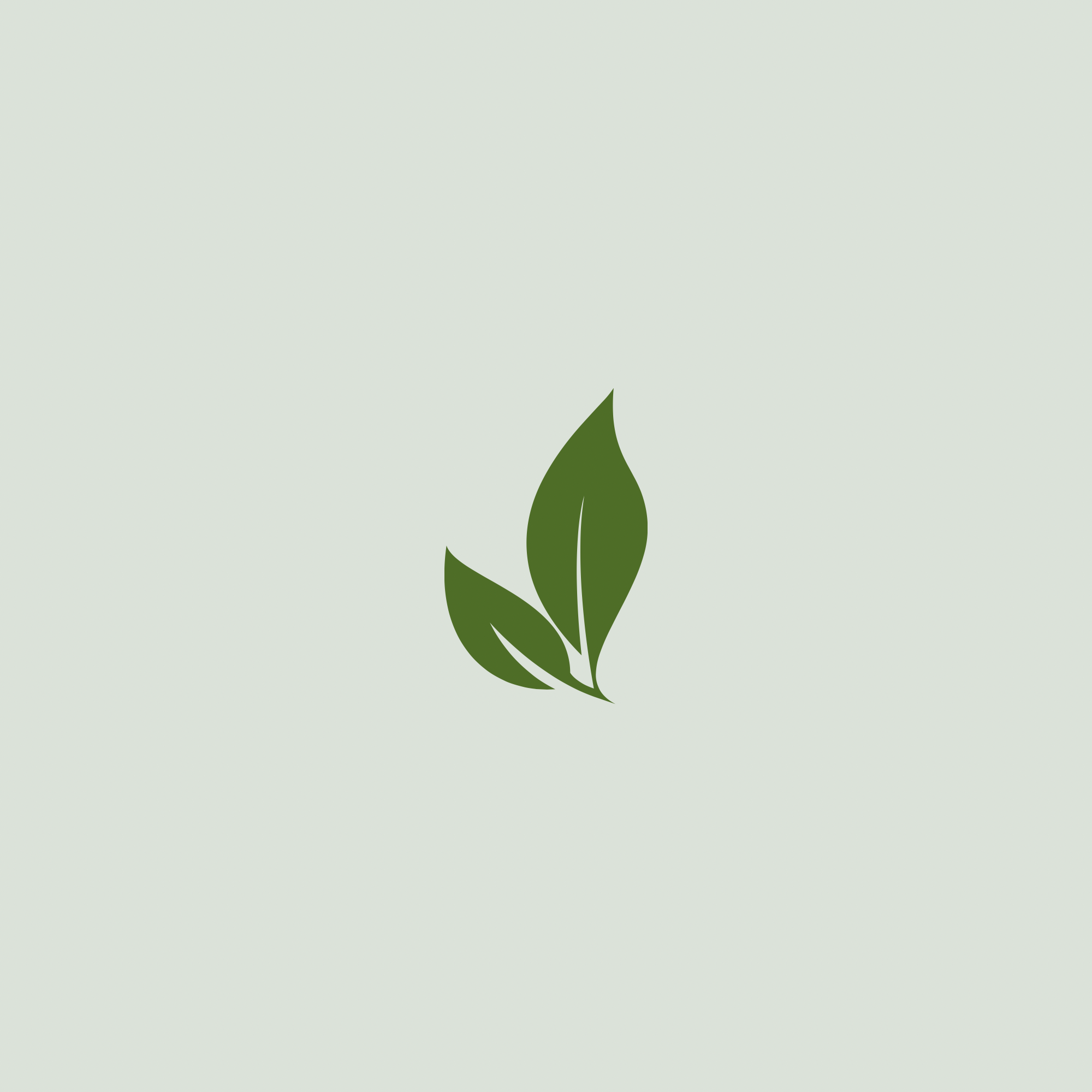 Illustration of a green leaf on a pale background.