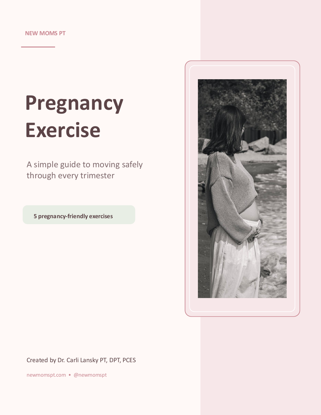 Cover of the New Moms PT pregnancy exercise ebook