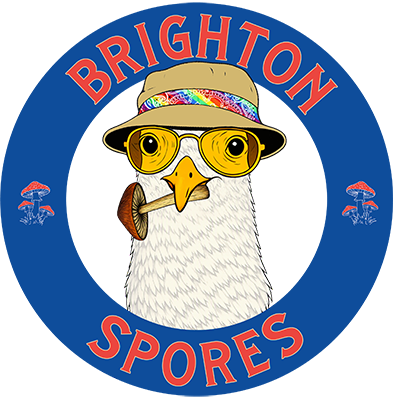 Illustration of a seagull wearing a bucket hat with a rainbow band, yellow sunglasses, and holding a small brown stick, with the words 'Brighton Spores' above and below the bird.