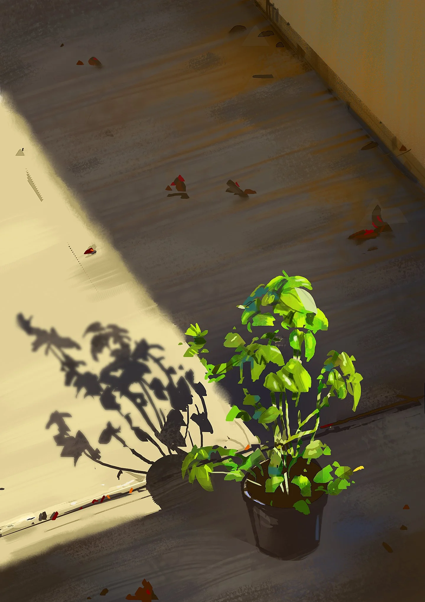 basil3.jpg