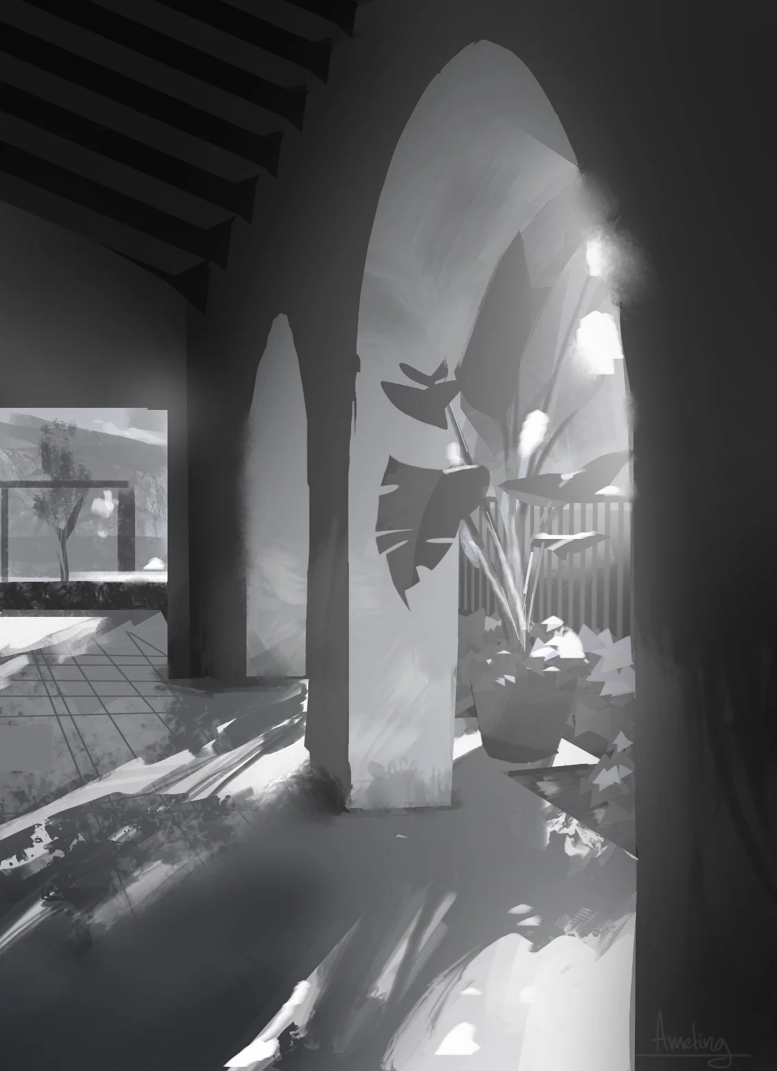 sun spot.jpg