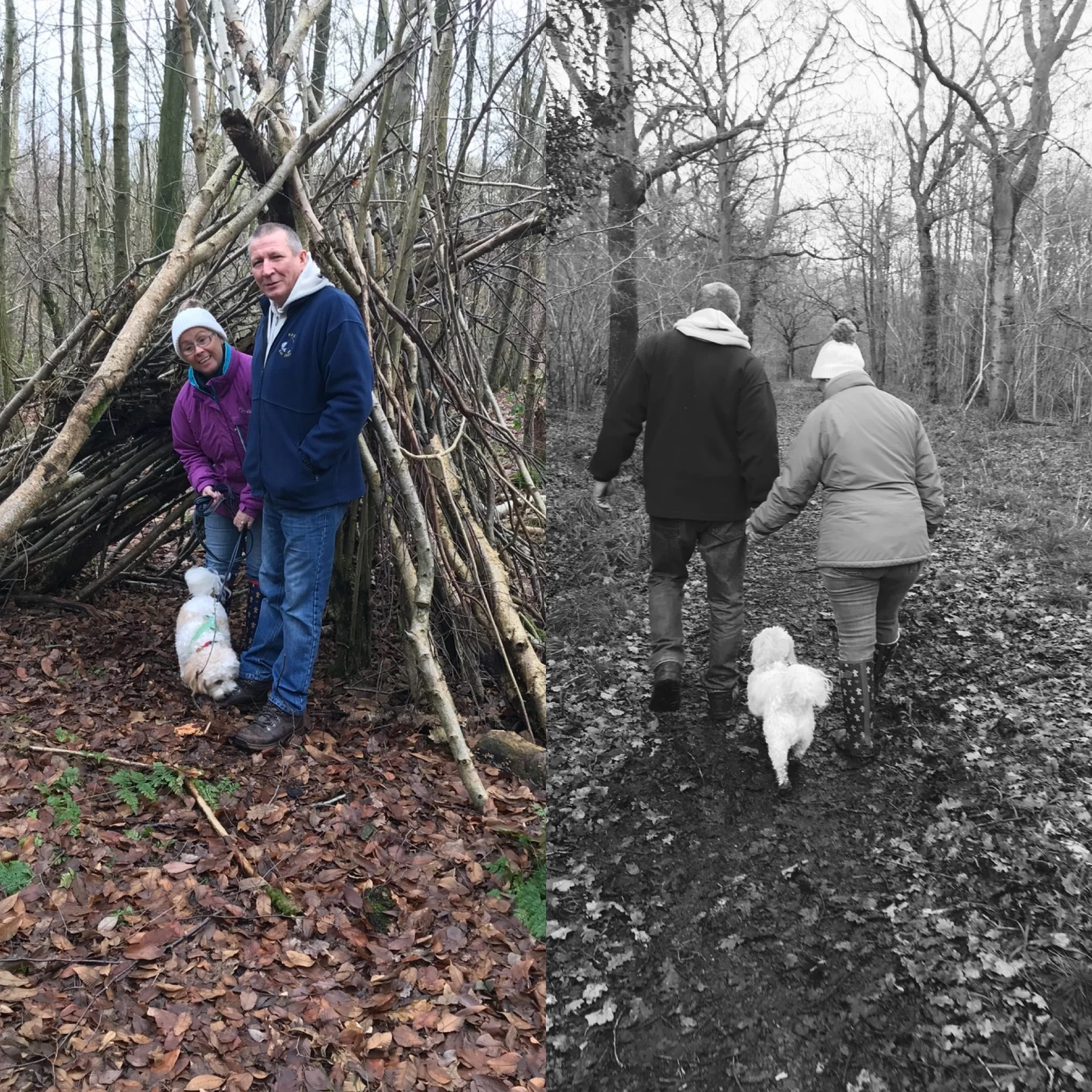 Group of four people walking through a forest trail with leafless trees during winter; one person on the left is wearing a white hat and purple jacket, another in the center is wearing a blue jacket, and two others are walking away from the camera.