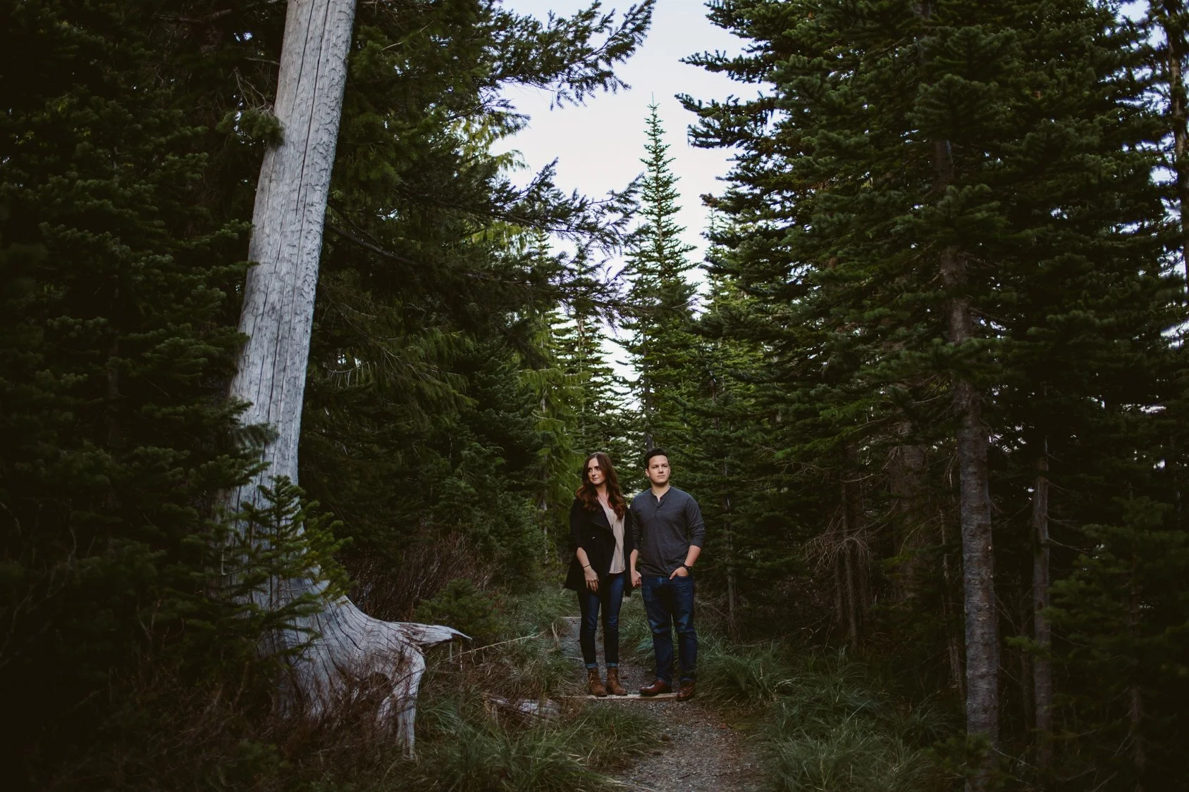 A man and woman standing on a forest trail surrounded by tall pine trees.