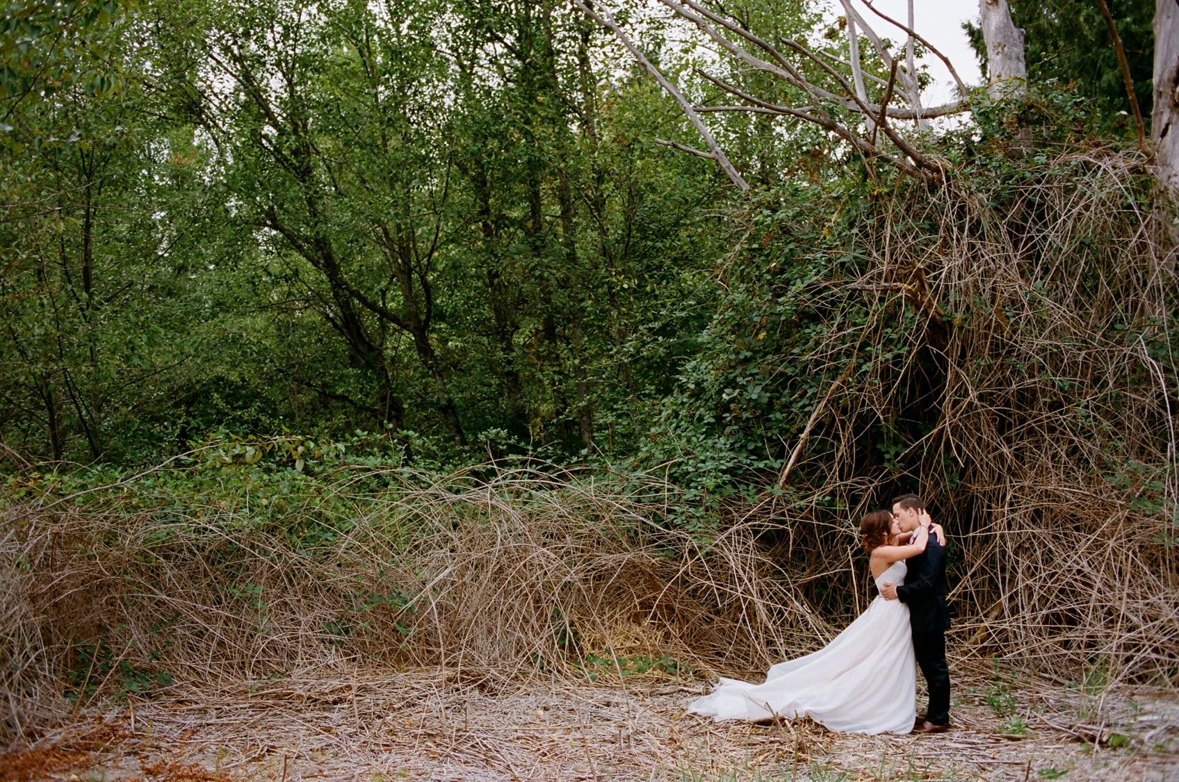 A bride and groom kissing in a wooded area with dry grass and green foliage.