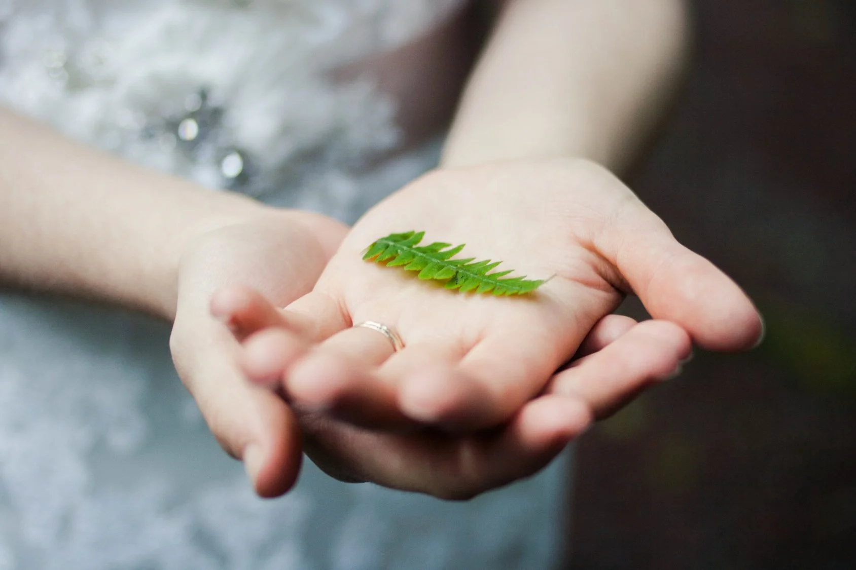 A pair of hands holding a small green fern leaf.