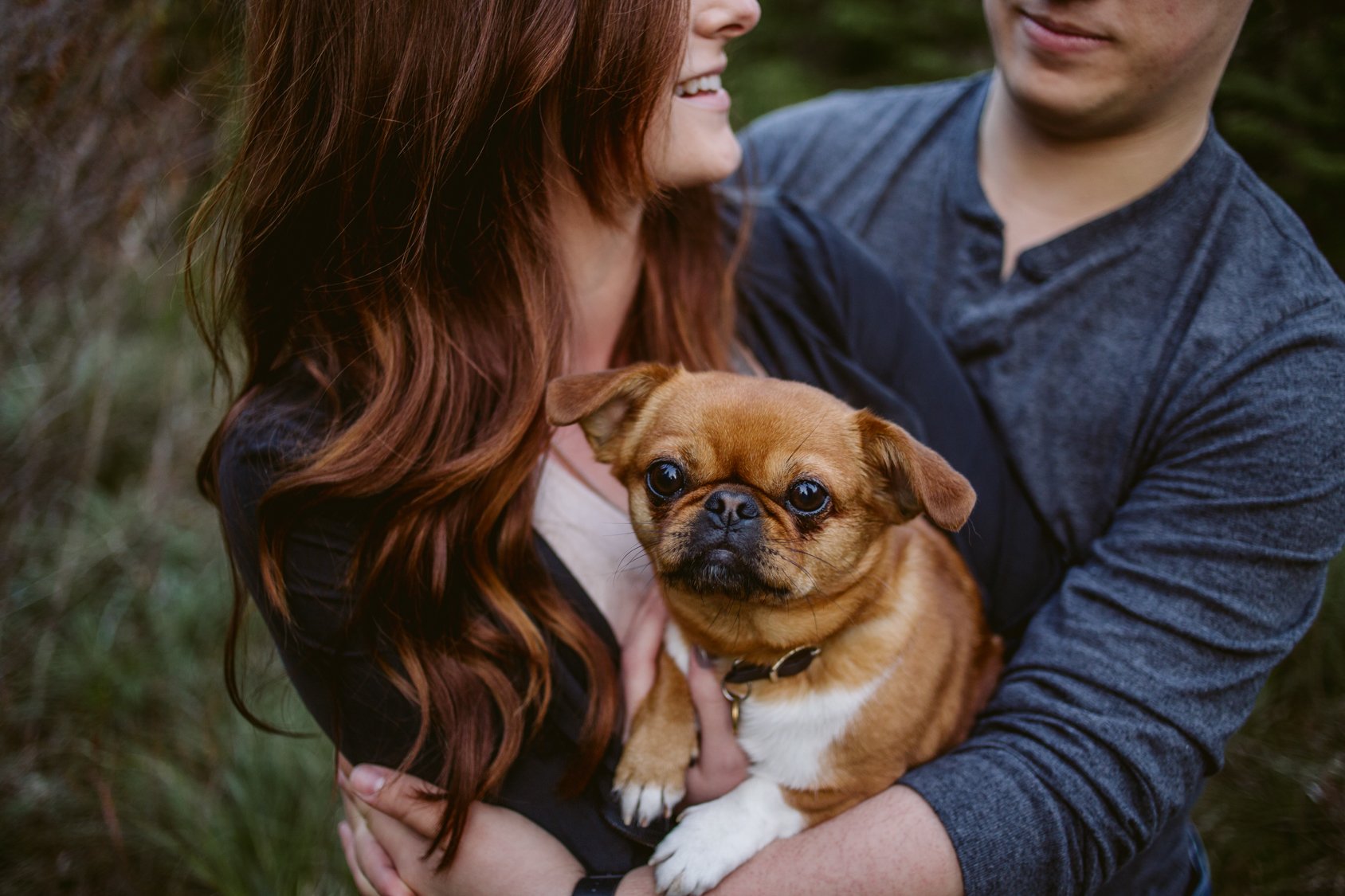 A couple holding a small brown dog outdoors, smiling and enjoying each other's company.