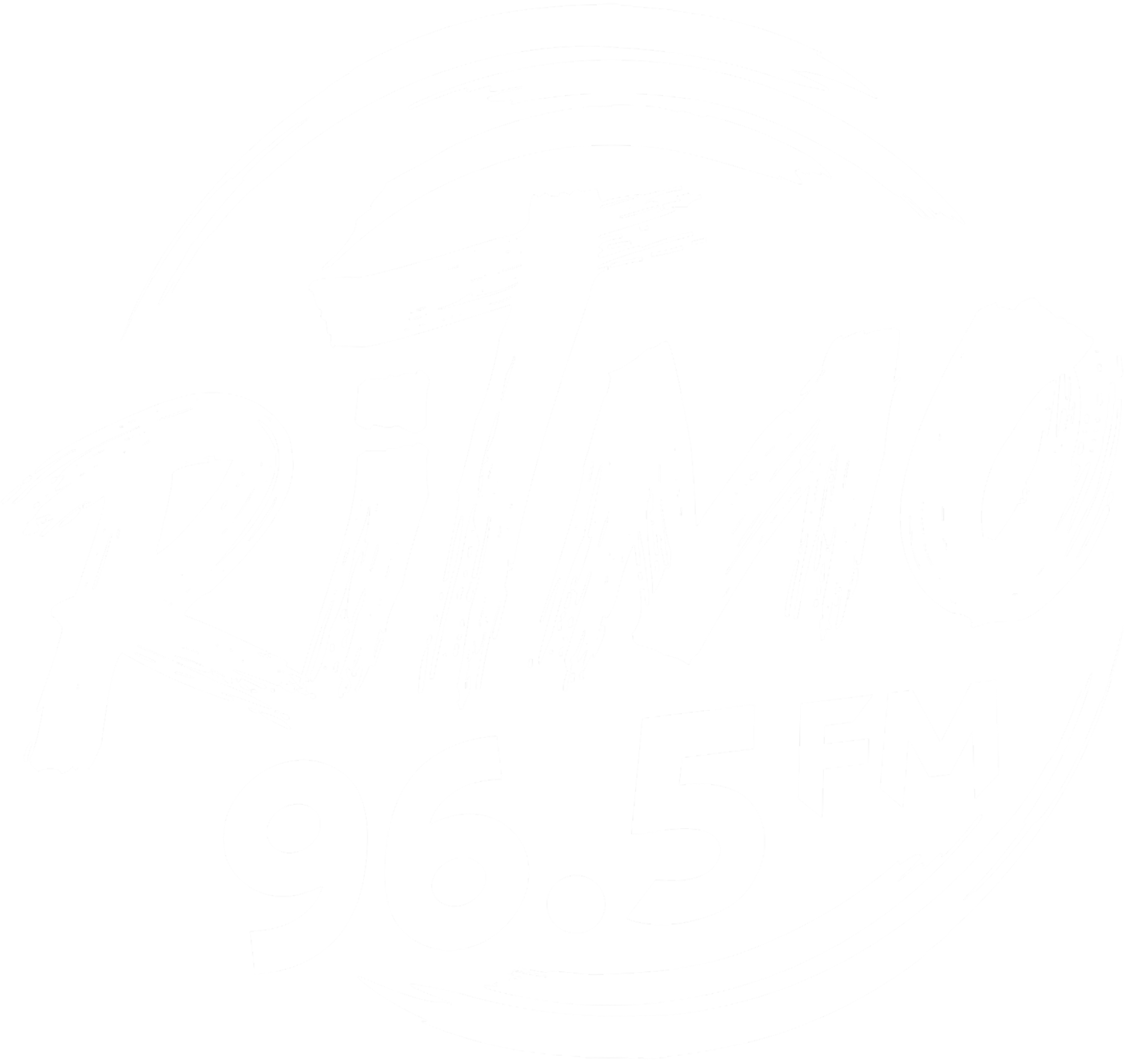 Ritmo 96.5 FM