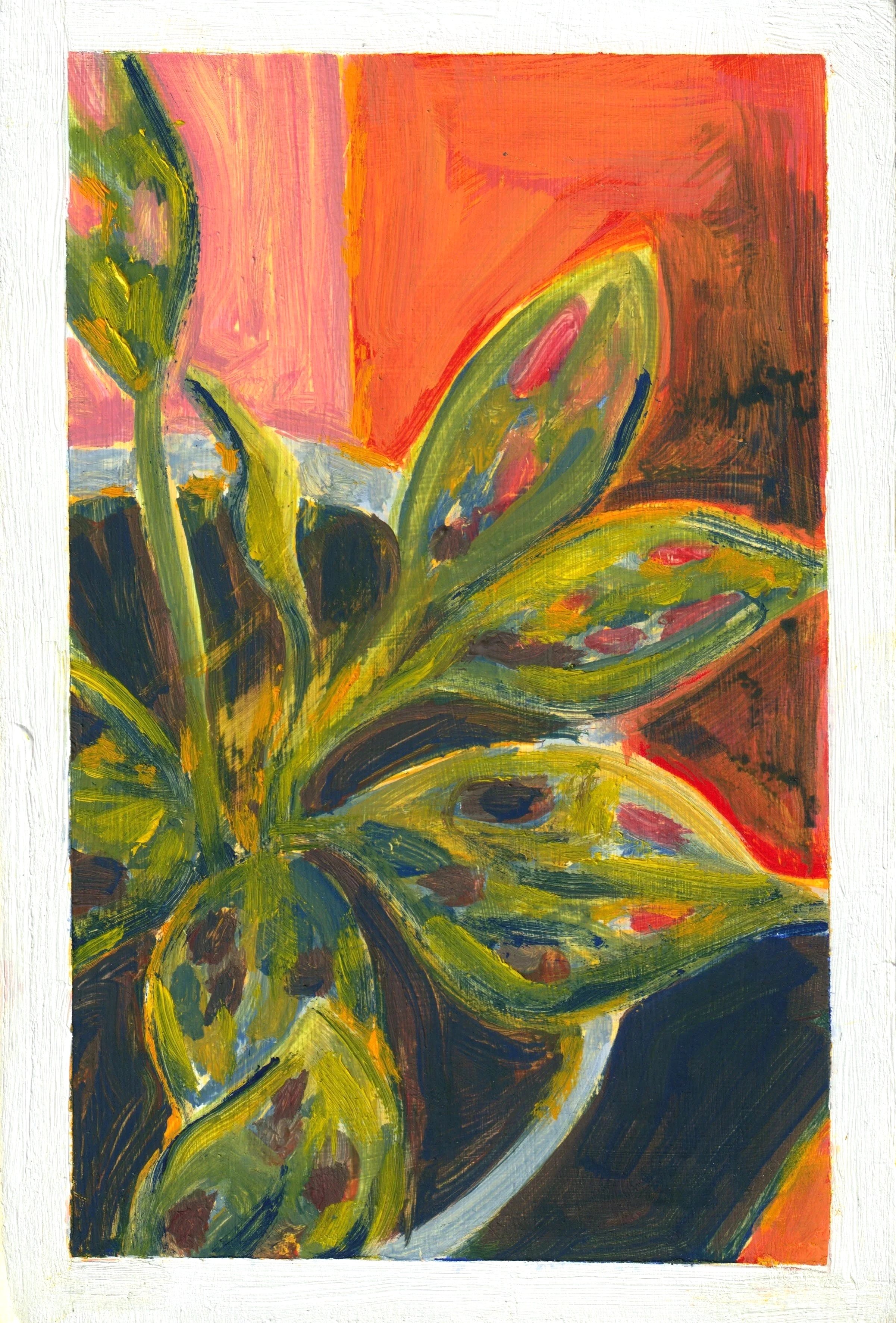 Monstera3.jpg