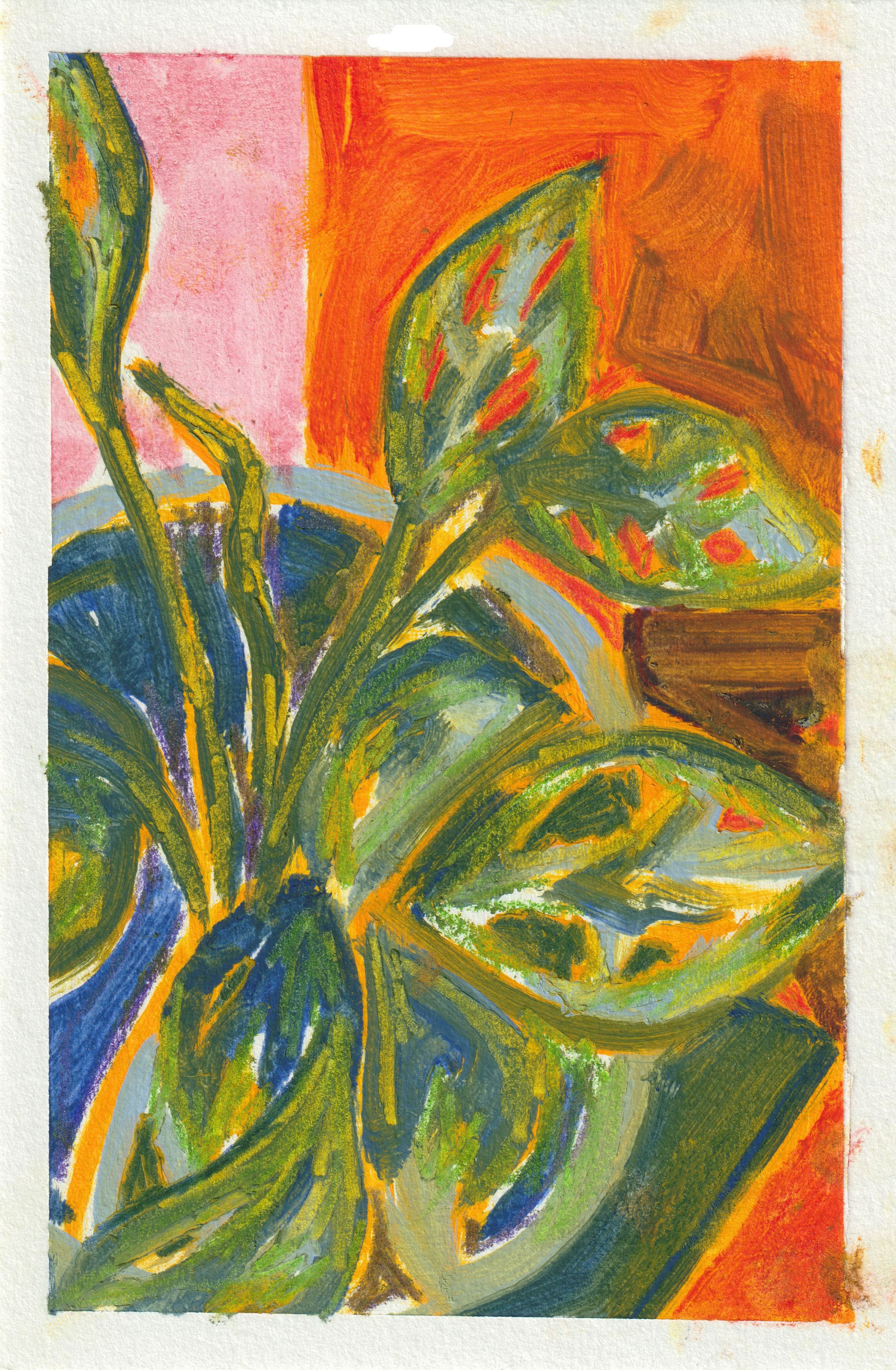 Monstera2.jpg
