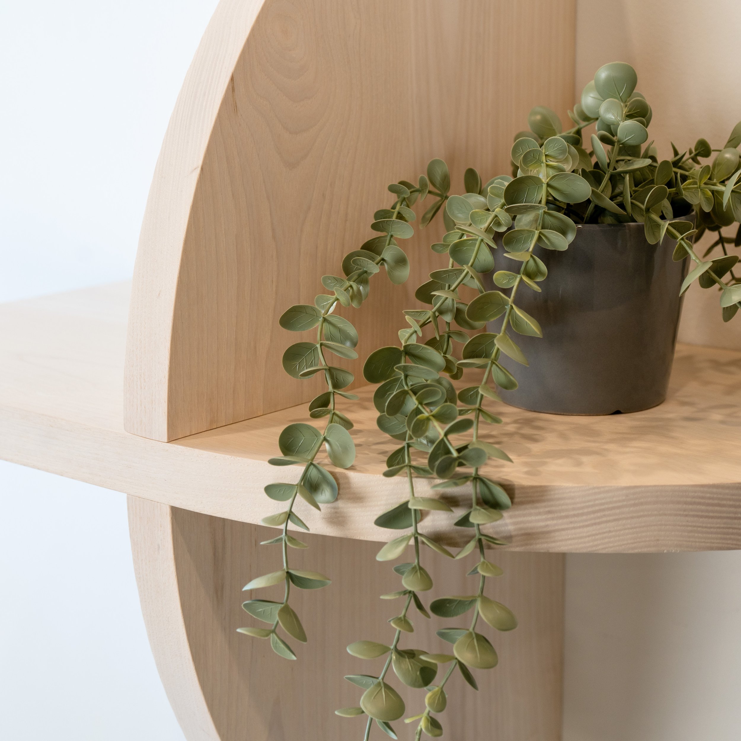 A potted green plant with rounded leaves spilling over a black container, placed on a light wooden table and partially obscured by a curved wooden object.