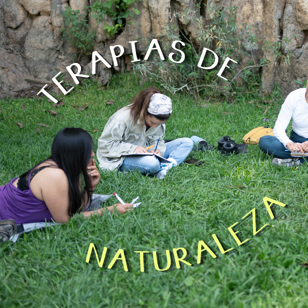¿Qué son las terapias de naturaleza? 