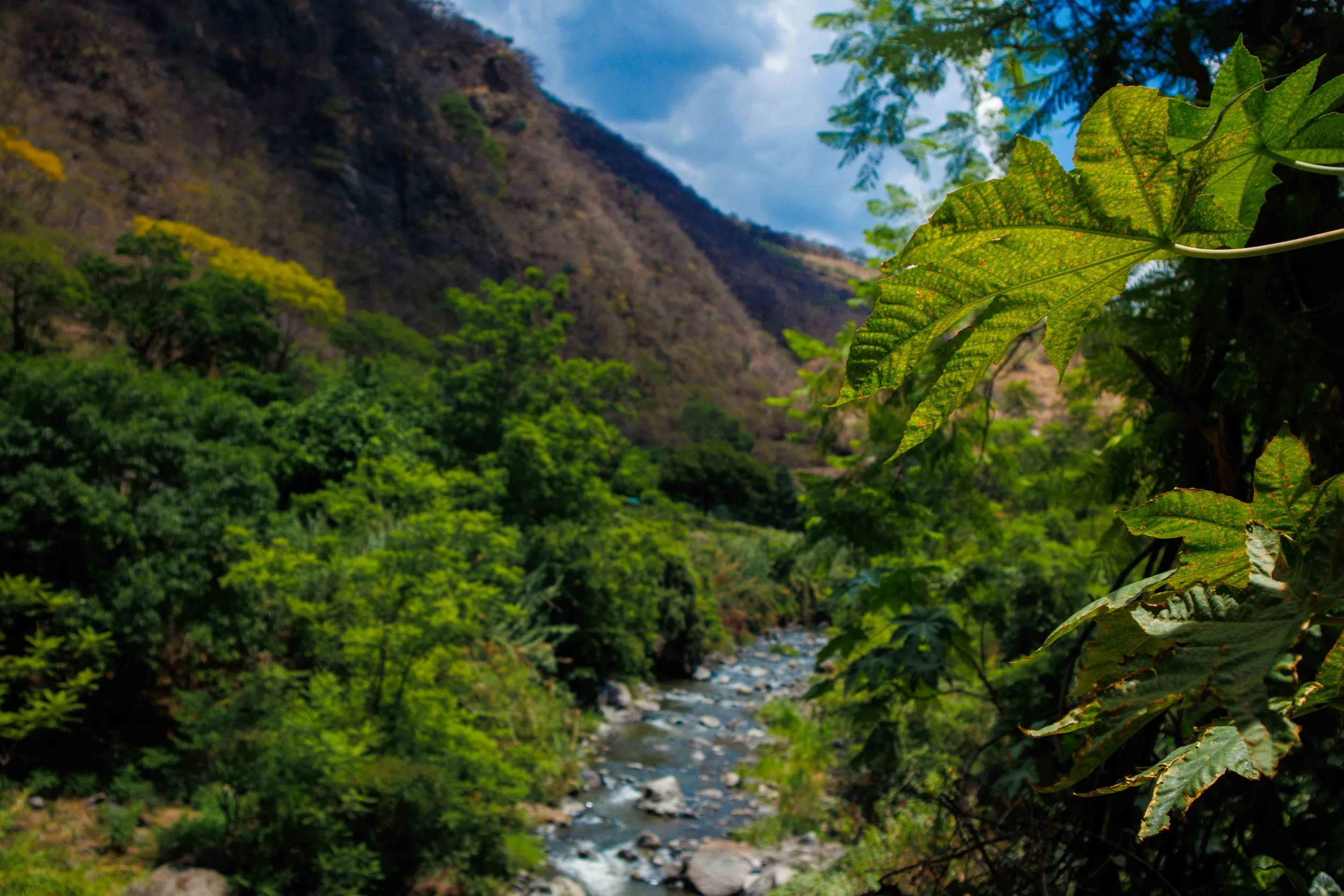 Paisaje natural con río que fluye entre árboles y colinas con cielo parcialmente nublado en Jungapeo Michoacan.