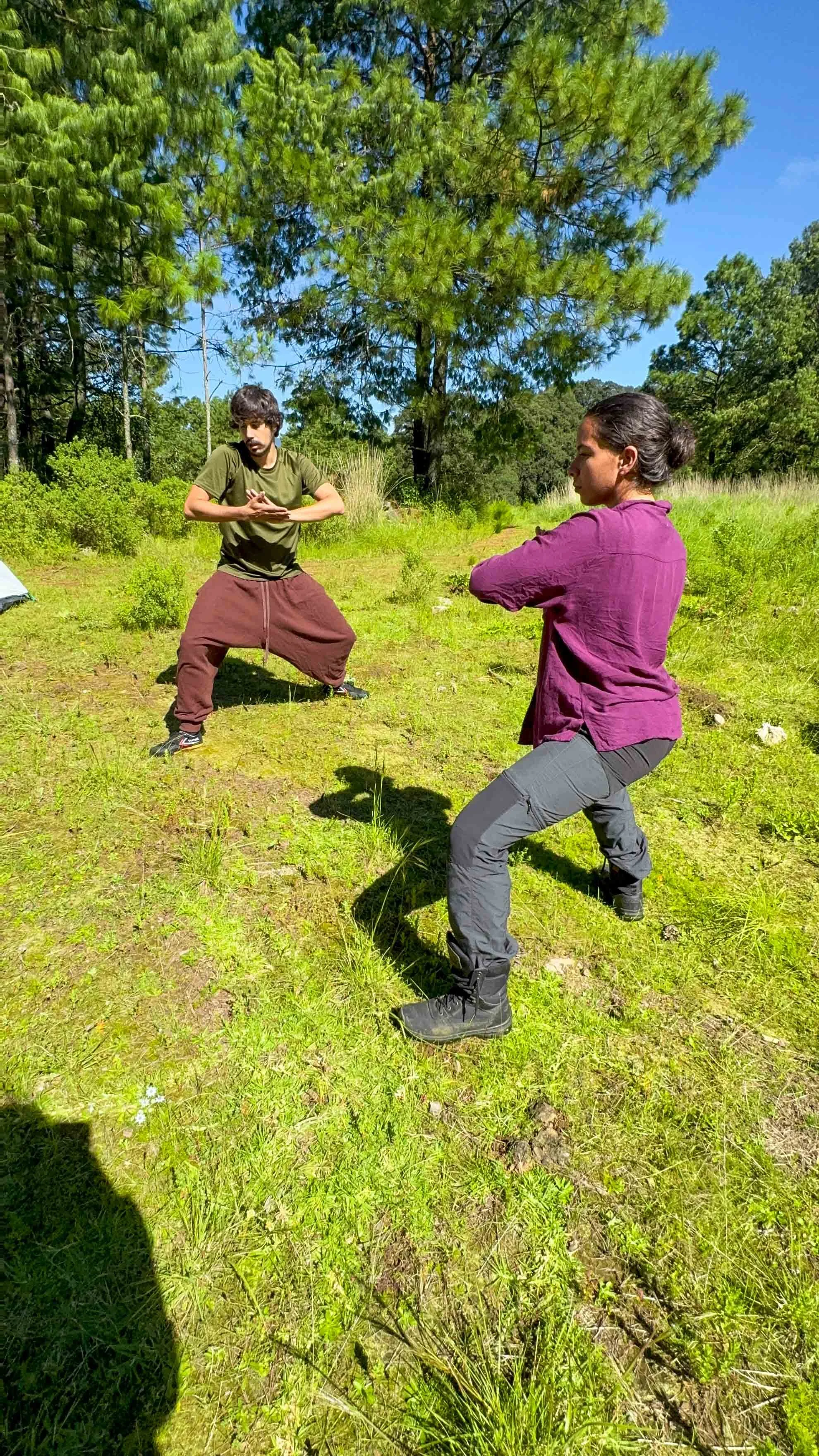 Dos personas practicando artes marciales al aire libre en un campo con árboles verdes y cielo azul.