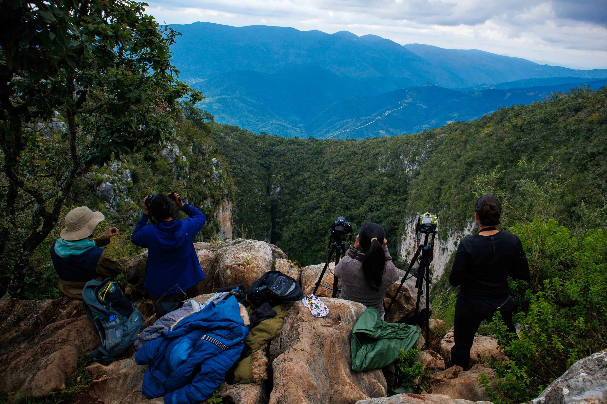 Grupo de personas observando y tomando fotos de un valle montañoso con vegetación abundante, en un día nublado.