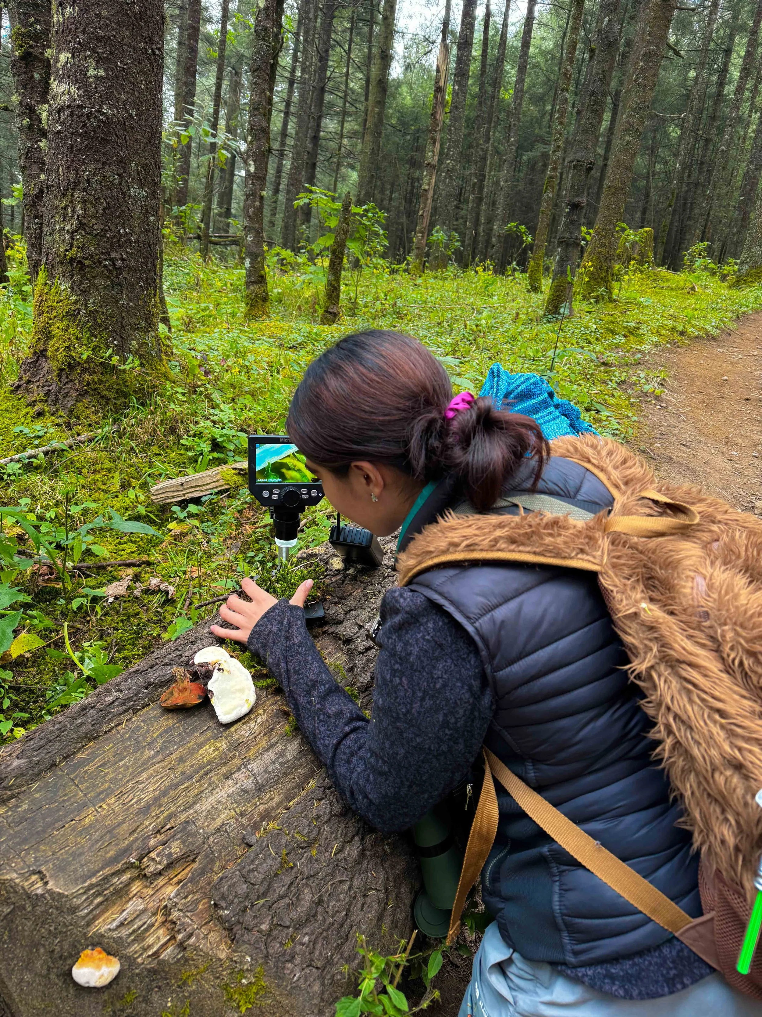 Una mujer en la naturaleza, tomando fotografías con una cámara en un bosque con árboles altos y follaje verde.