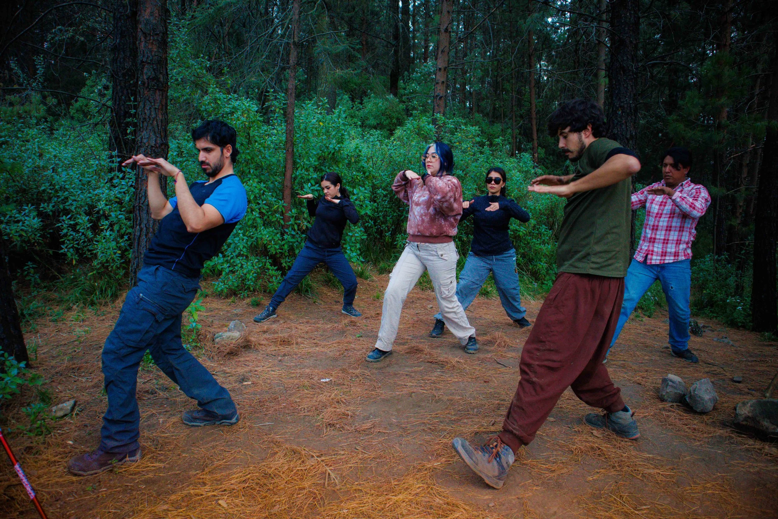 Un grupo de seis personas practicando Tai Chi en un bosque, con árboles y vegetación verde de fondo.