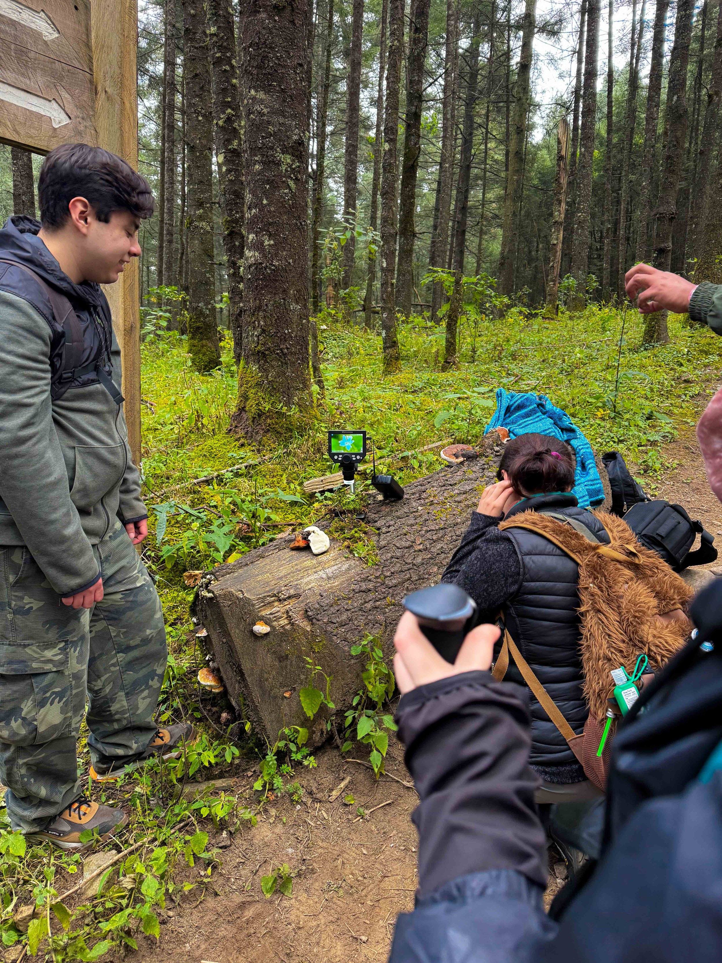 Grupo de personas en un bosque observando setas en un tronco caído, uno de ellos mostrando una seta blanca con una cabeza de rosa, mientras otros toman fotos o las examinan.