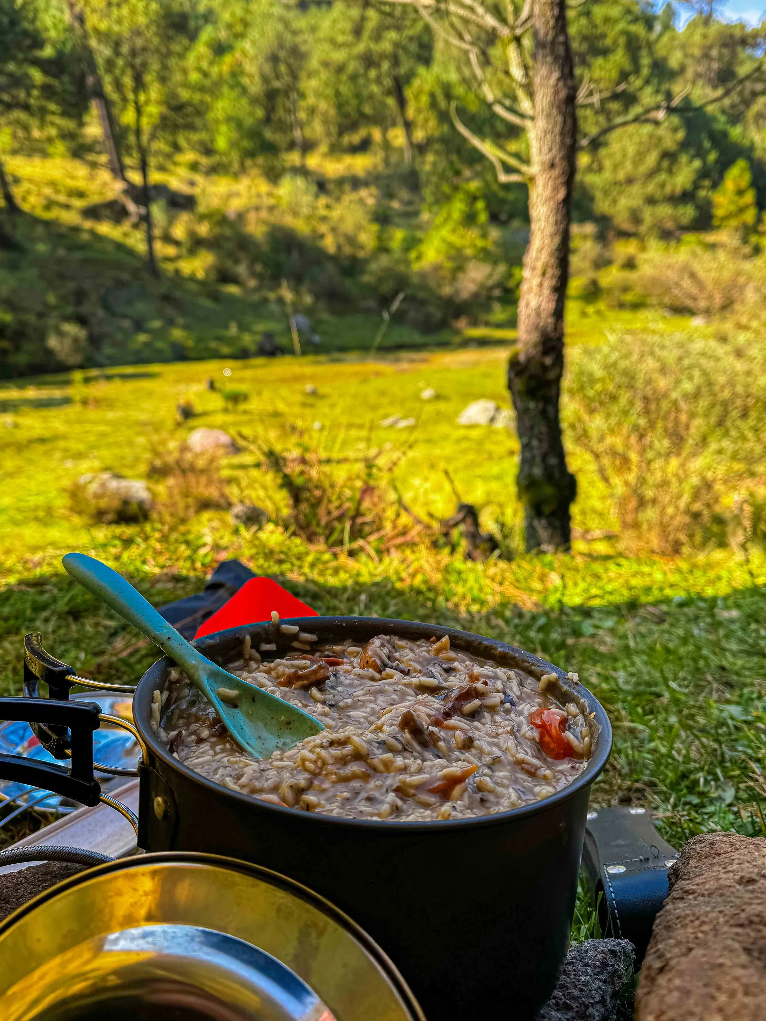 Olla de comida en una fogata en un entorno natural con árboles y pasto verde.