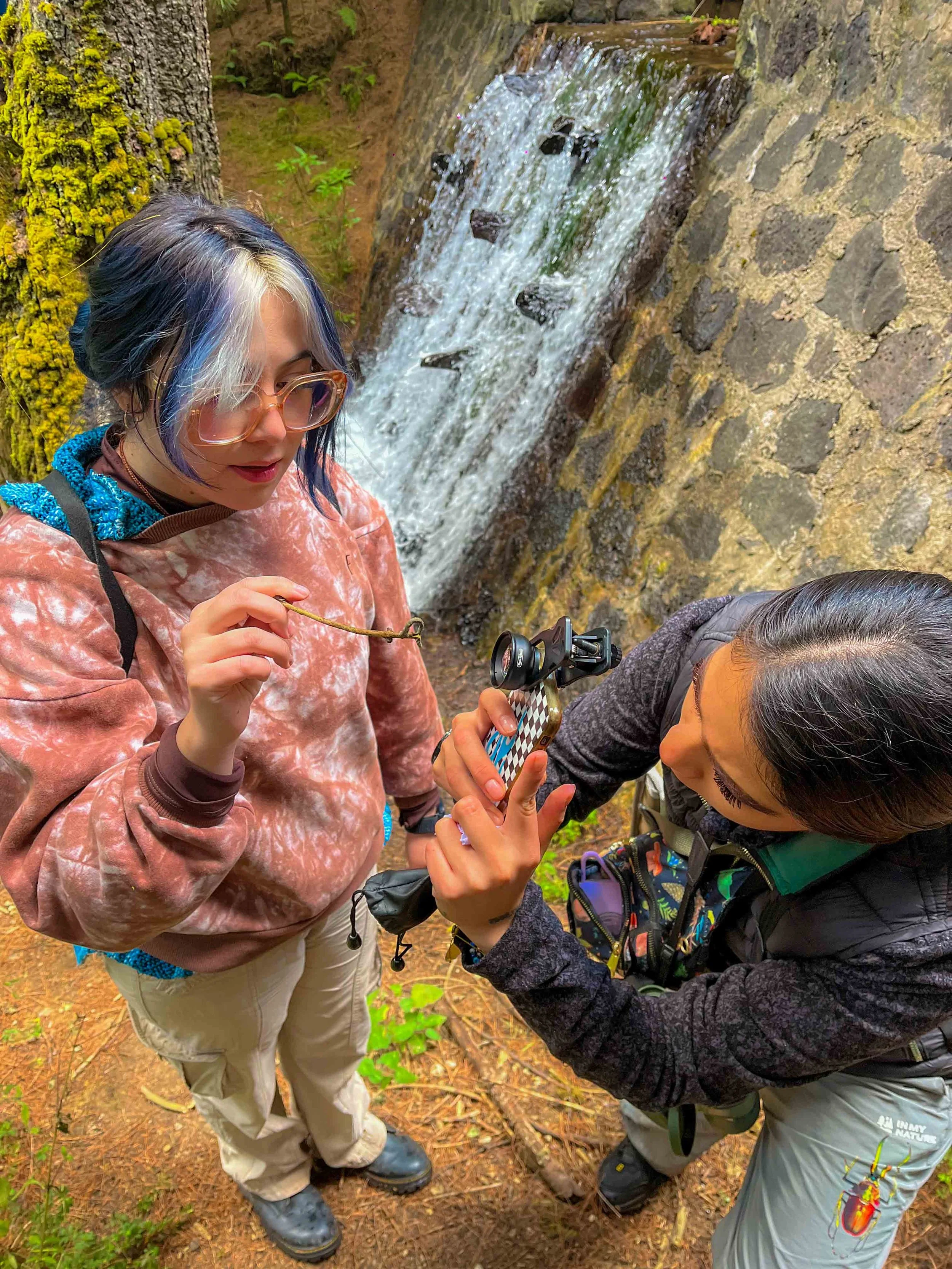 Dos personas en un sendero de bosque, una usando un abrigo rosado con capucha y la otra con una chaqueta negra, parecen observar o revisar algo en una pequeña rama o planta, con un río pequeño de agua cayendo en el fondo.