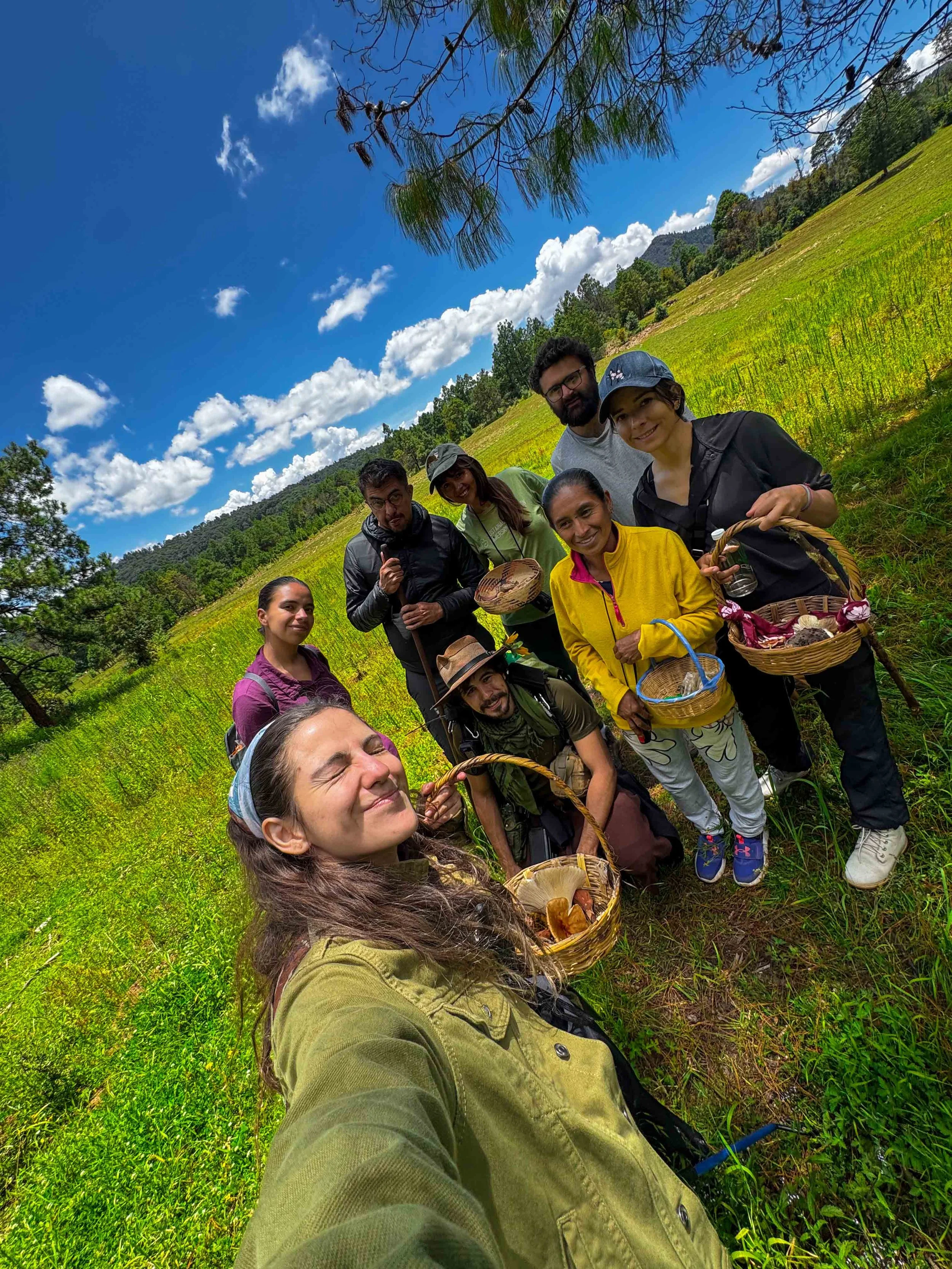 Un grupo de personas en actividades de excursionismo regenerativo en un campo verde con árboles y montañas al fondo, bajo un cielo azul con nubes, algunos sosteniendo cestas con hongos.