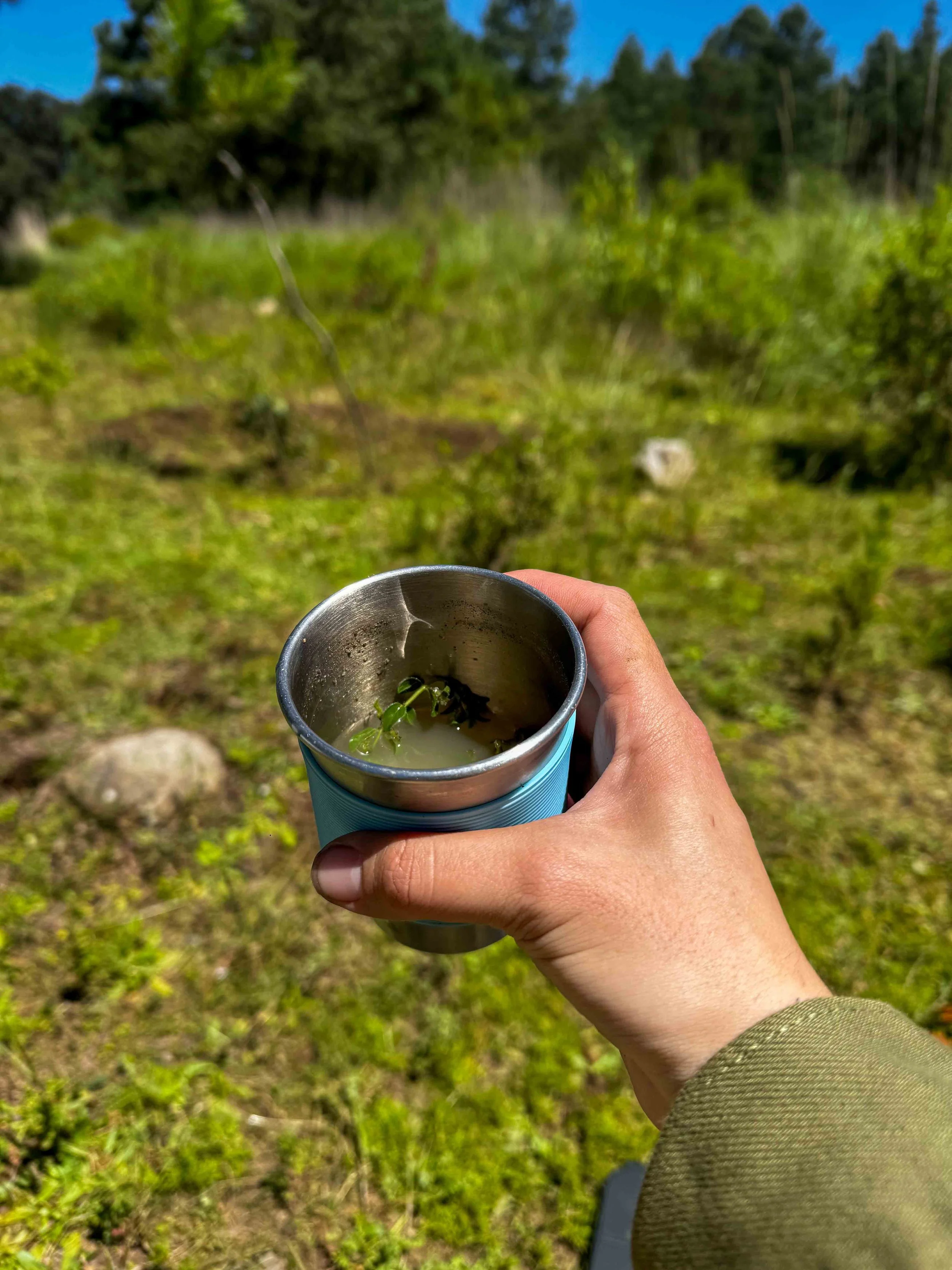 Persona sosteniendo una taza metálica con agua y plantas acuáticas en un entorno natural con árboles y cielo azul.